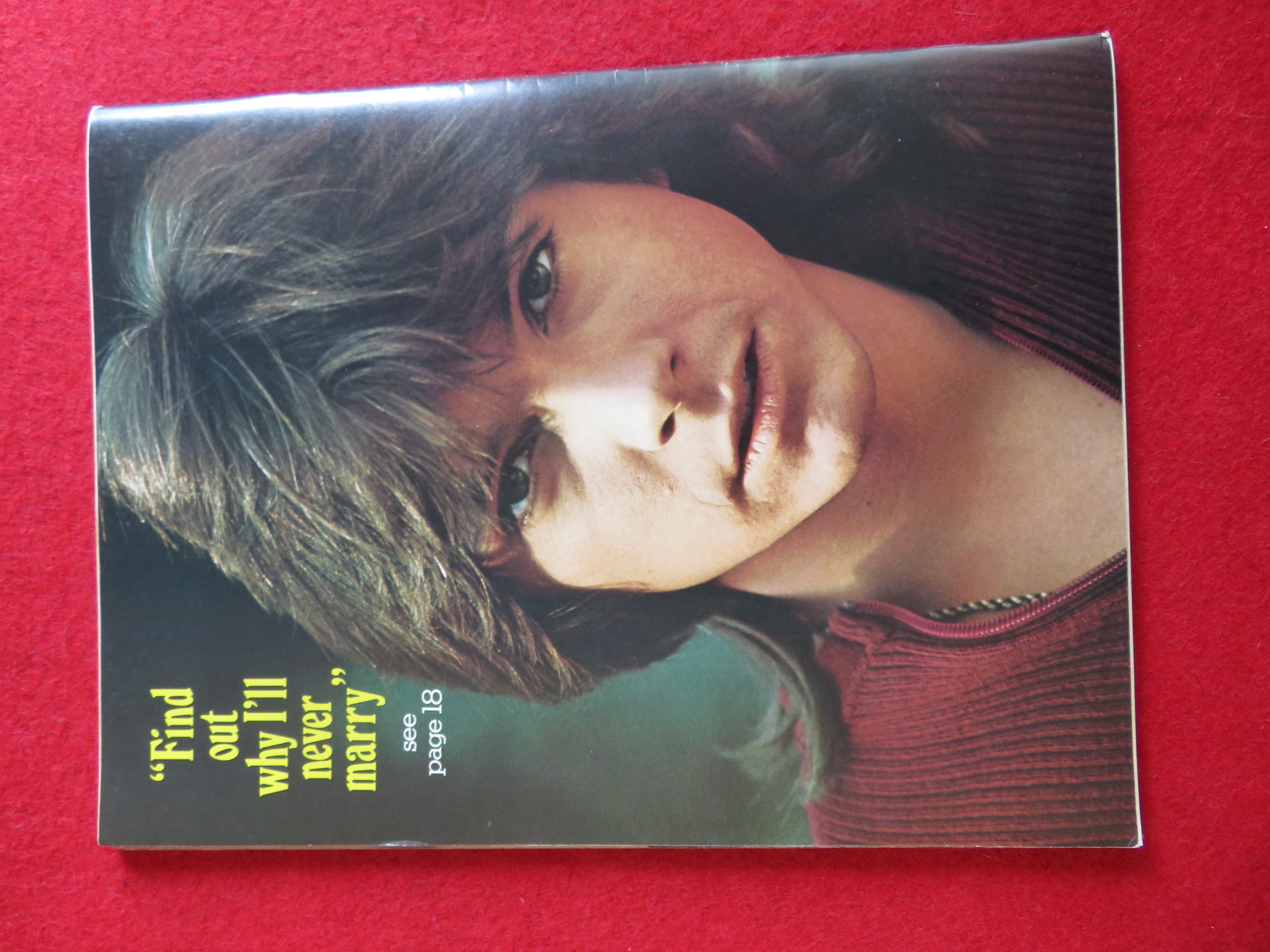 Spec Magazine February 1973 Donny & David