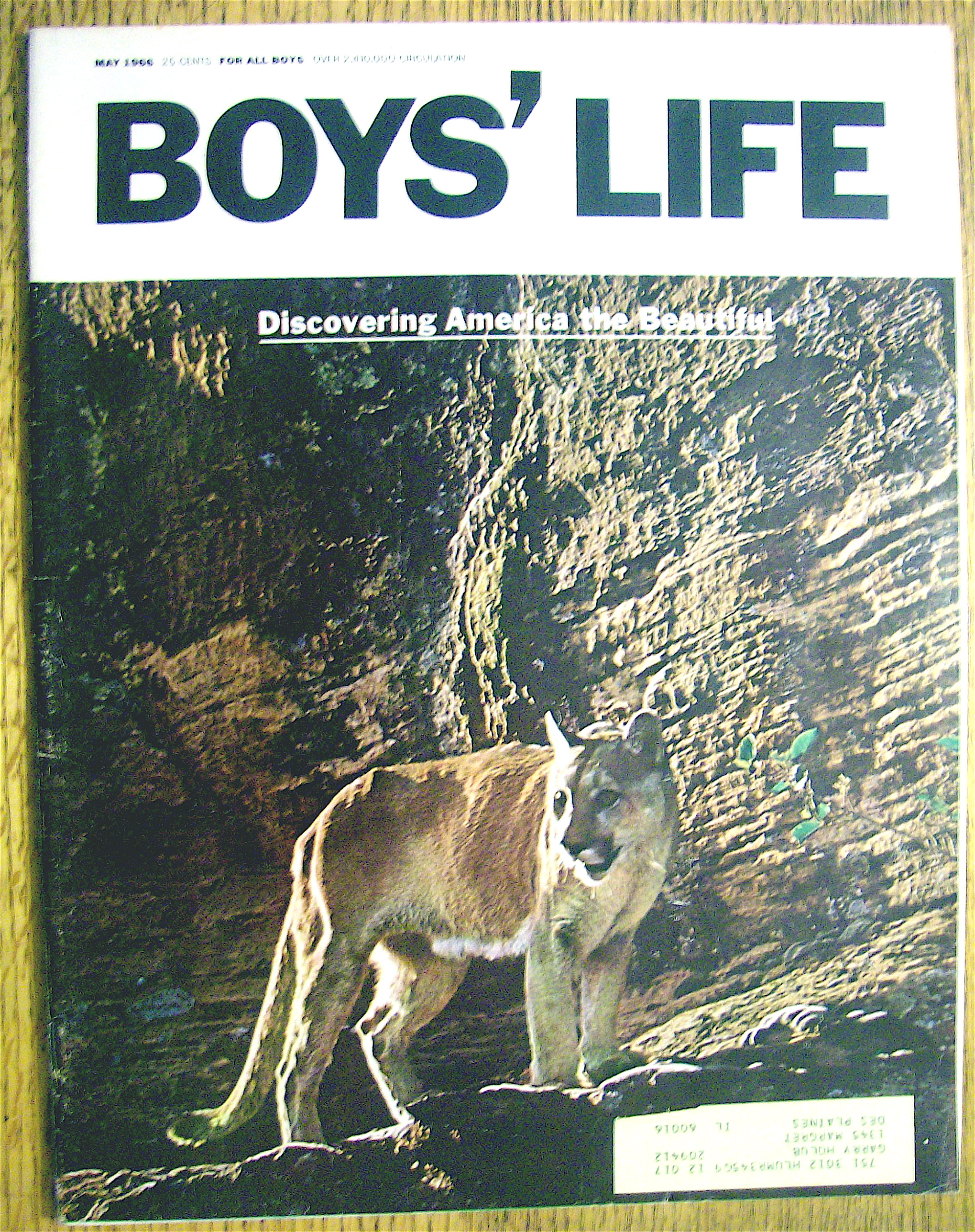 Boys Life Magazine-May 1966-Ted Williams:Fly Casting