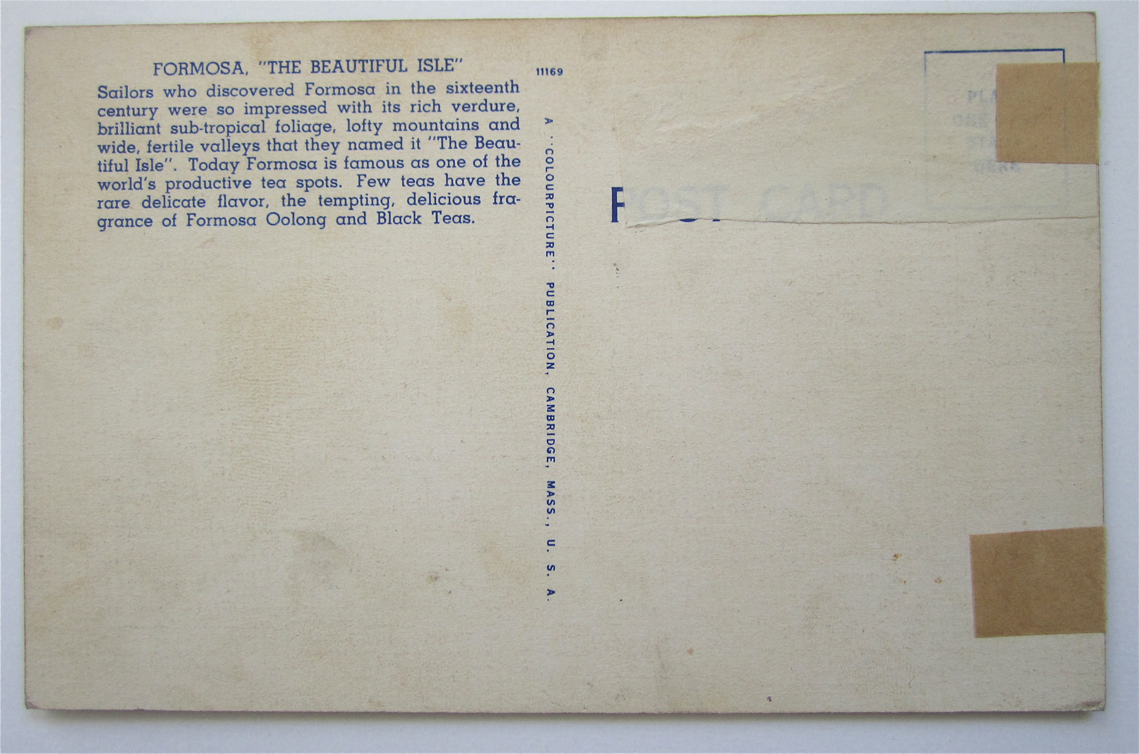 Formosan Tea Room, New York Fair Postcard