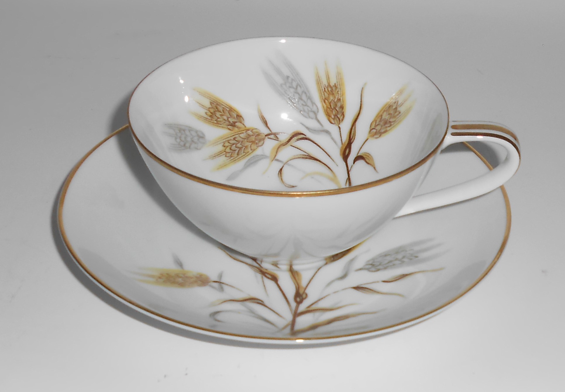 Noritake China Porcelain Wheaton Gold 5414 Cup & Saucer