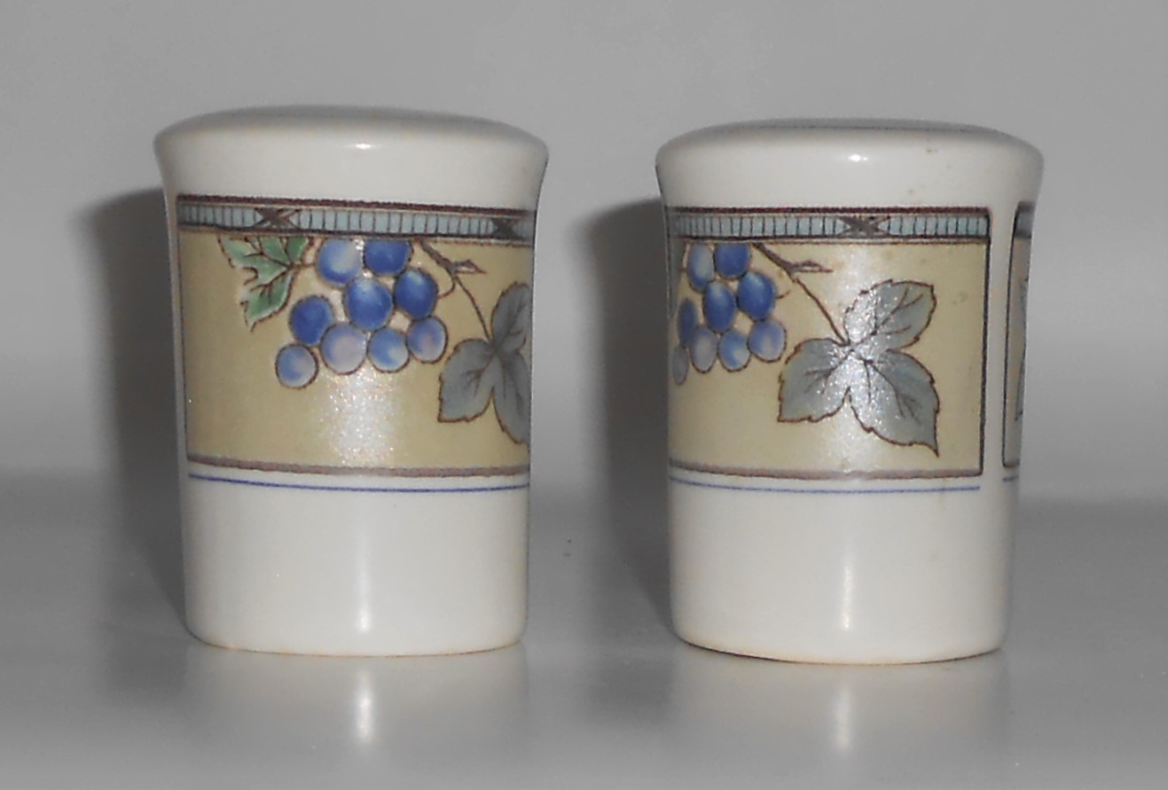 Mikasa Intaglio China CAC29 Garden Harvest Salt & Pep