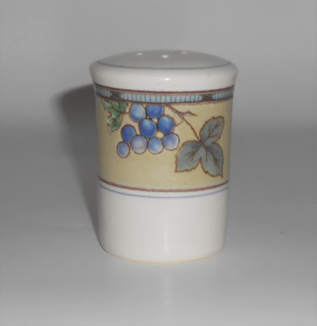 Mikasa Intaglio China CAC29 Garden Harvest Salt Shaker
