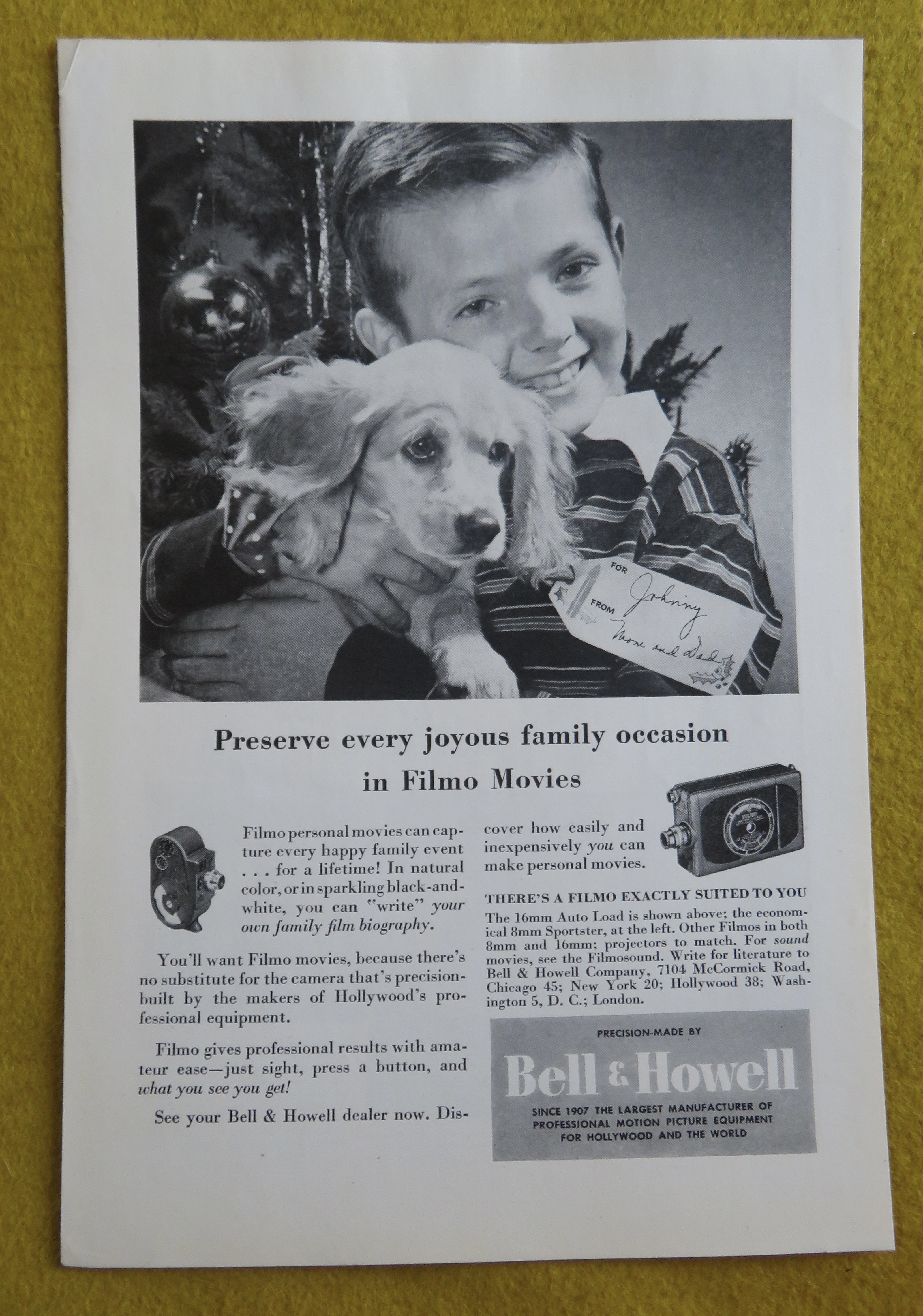 1946 Bell & Howell with a Little Boy & His Puppy Dog