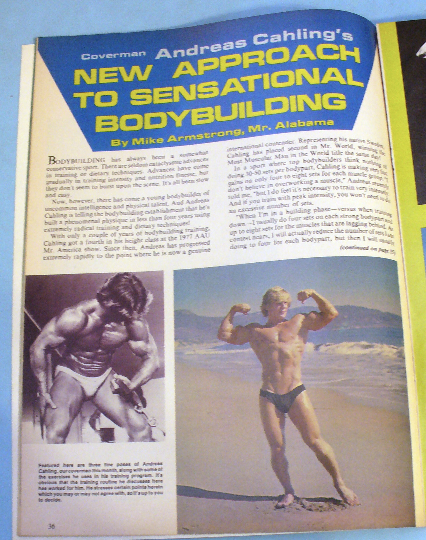 Muscular Development December 1979 Andreas Cahling
