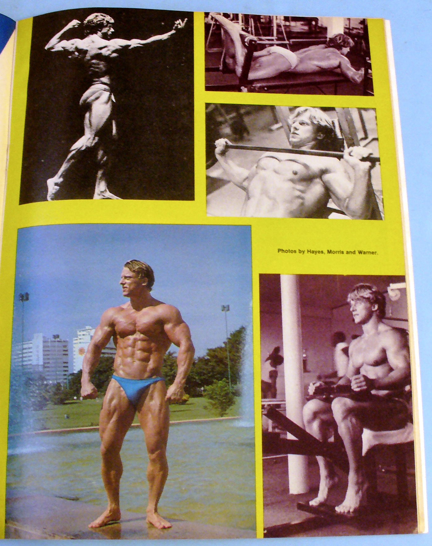 Muscular Development December 1979 Andreas Cahling