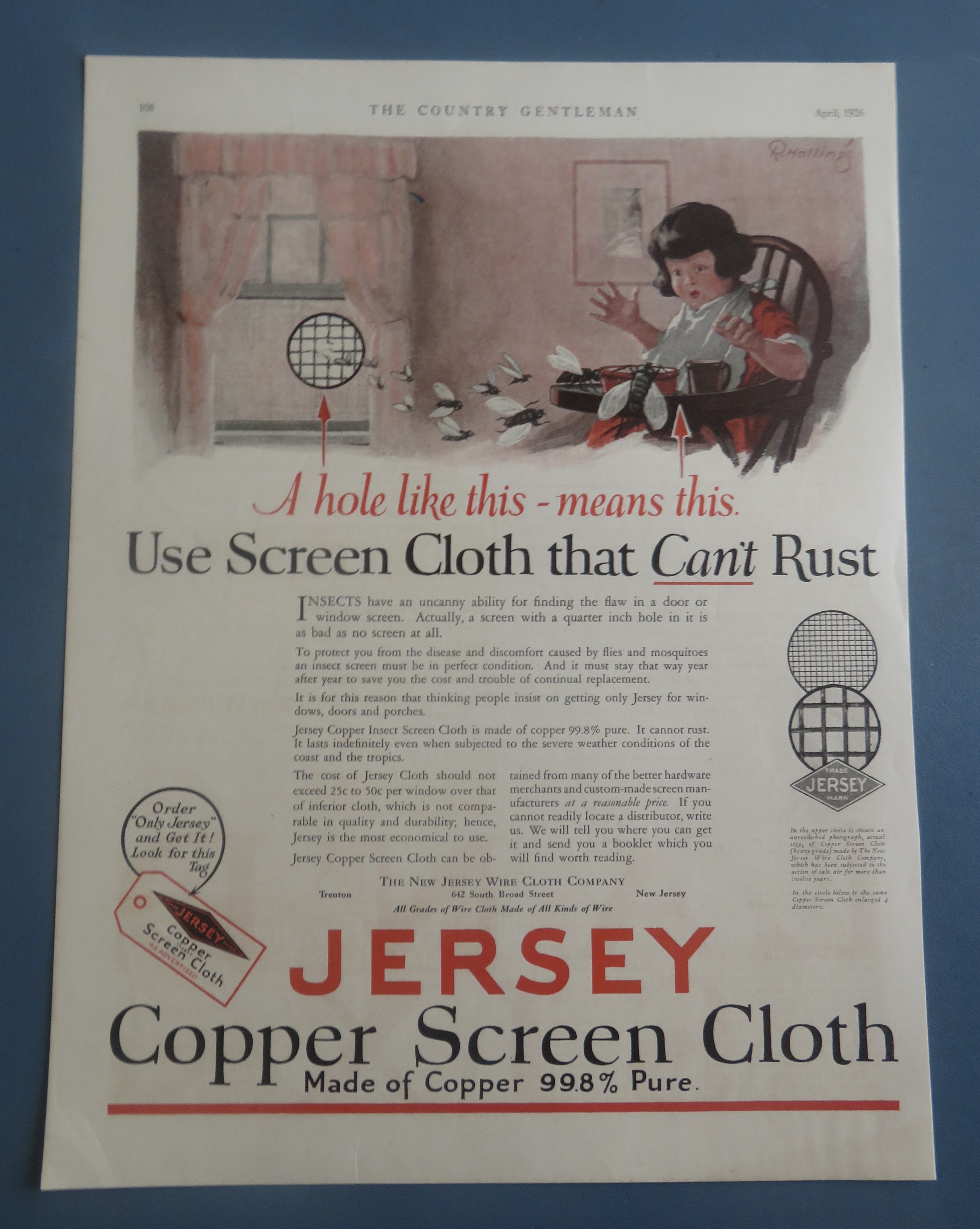 1926 Jersey Copper Screen Cloth with Girl & Bugs