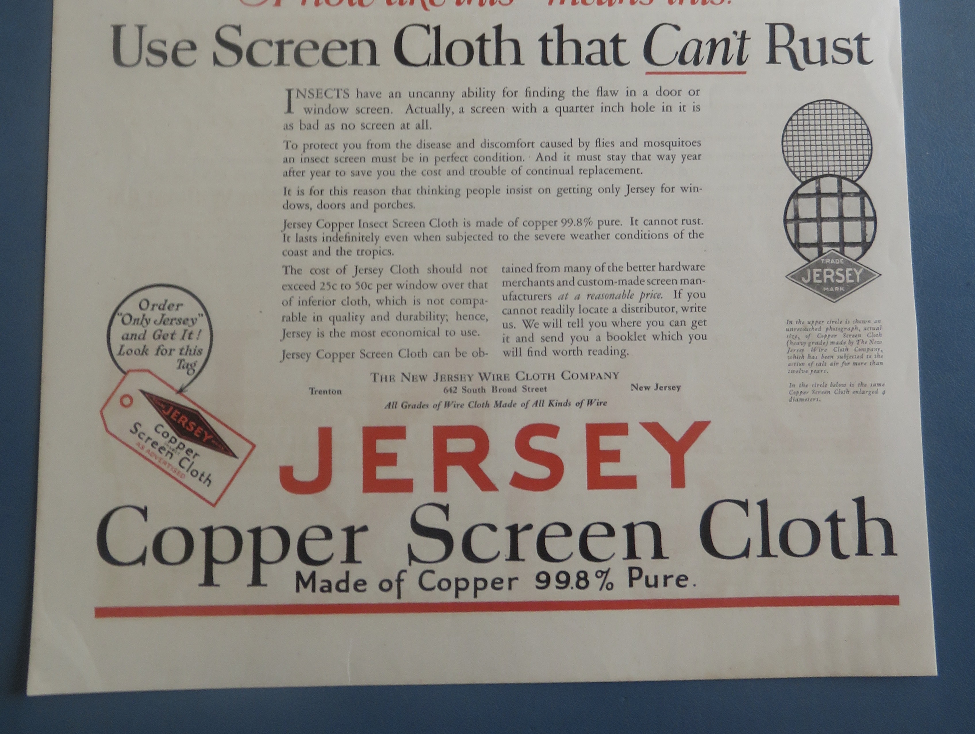 1926 Jersey Copper Screen Cloth with Girl & Bugs