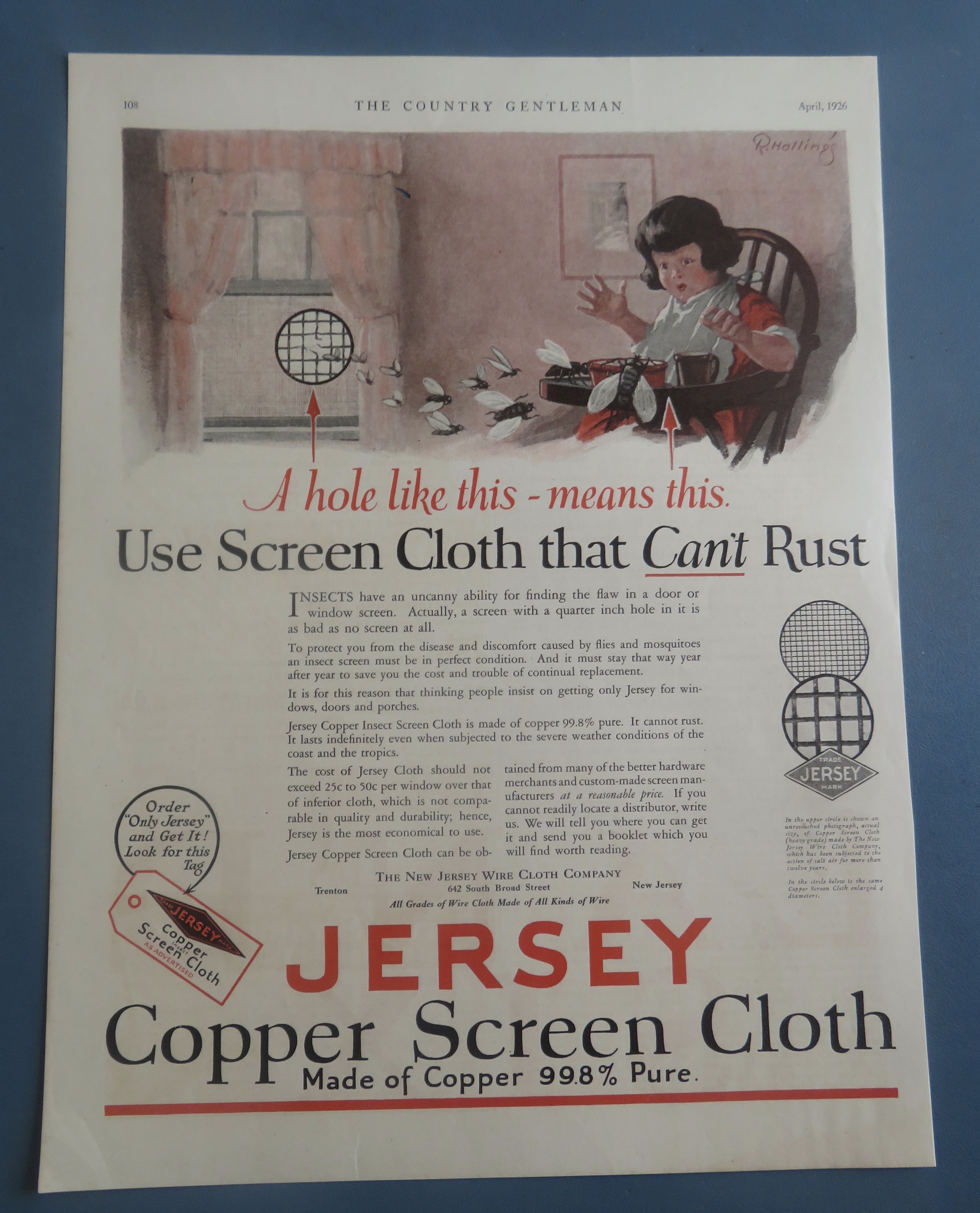 1926 Jersey Copper Screen Cloth with Girl & Bugs