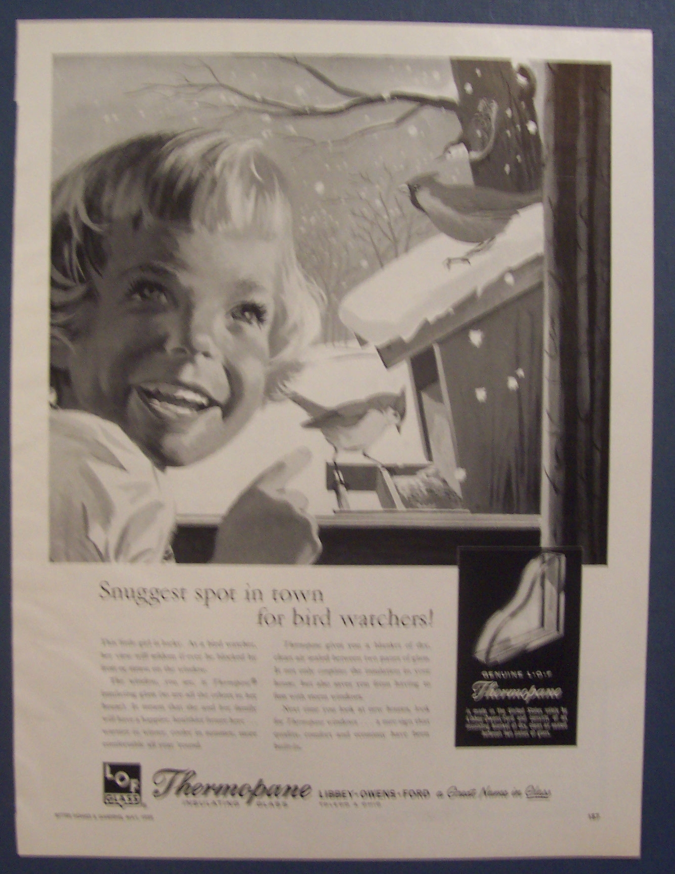 1959 Thermopane Insulating Glass w/Little Girl & A Bird