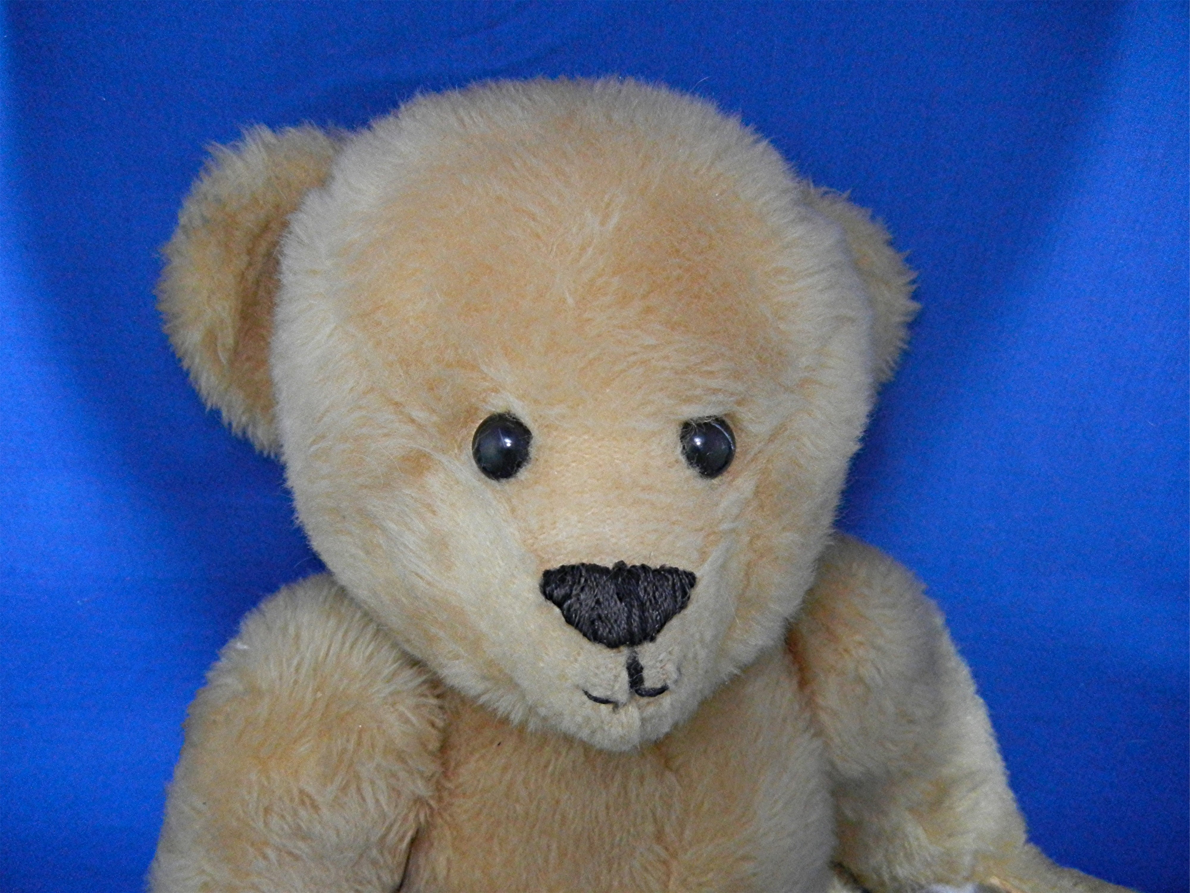 Teddy Bear plush 16 Inches