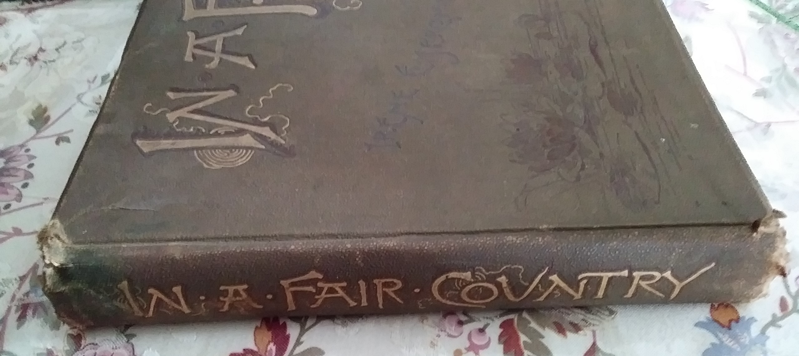In A Fair Country Higginson Jerome 1890