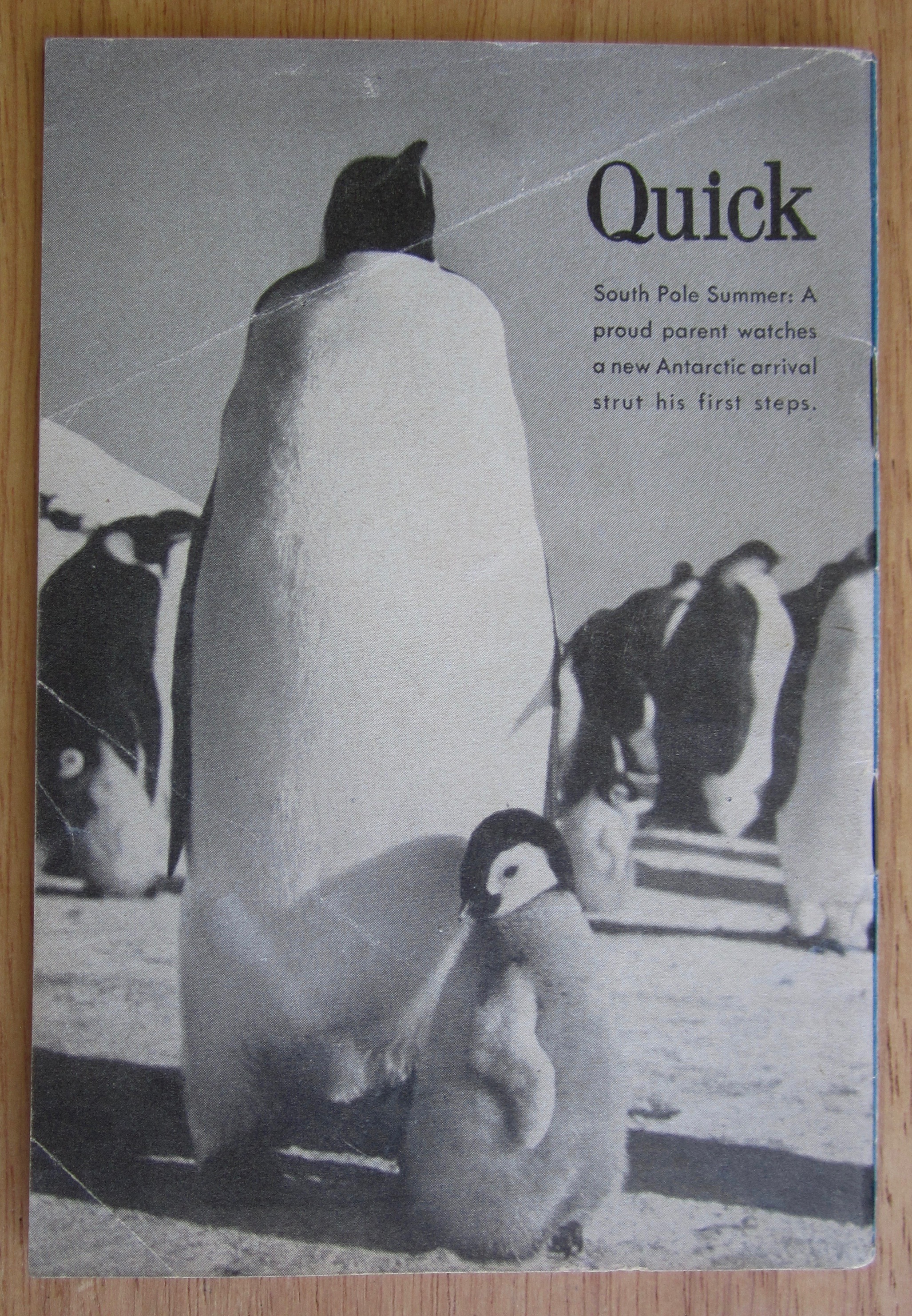 Quick Magazine June 16, 1952 Esther Williams