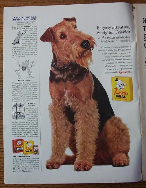 Life Magazine October 20, 1958 Mrs. Eisenhower