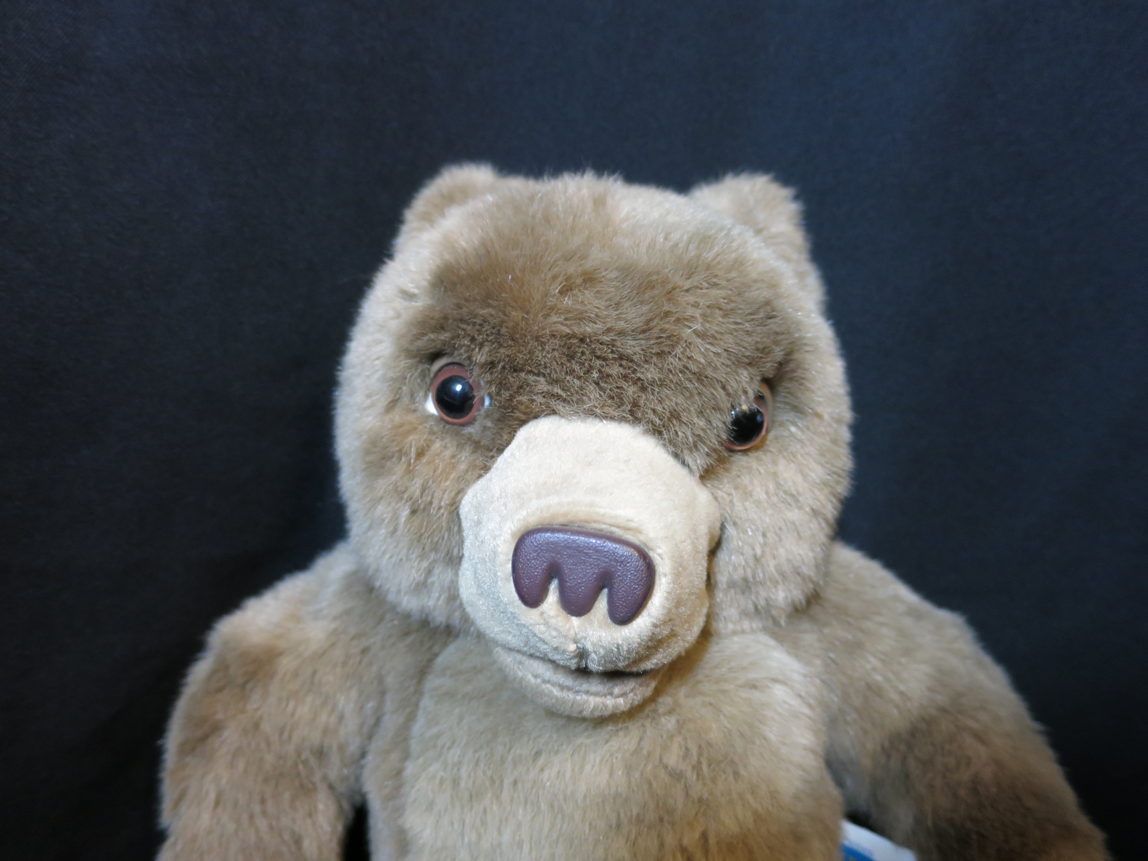 Little Bear Maurice Sandak Else Minarik Talks 15 inch