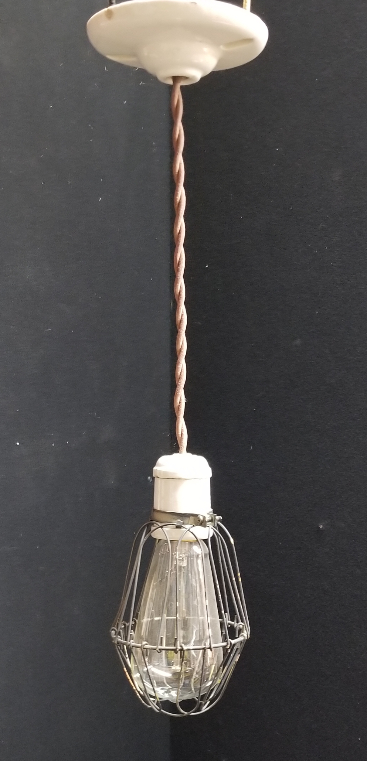 Caged trouble light