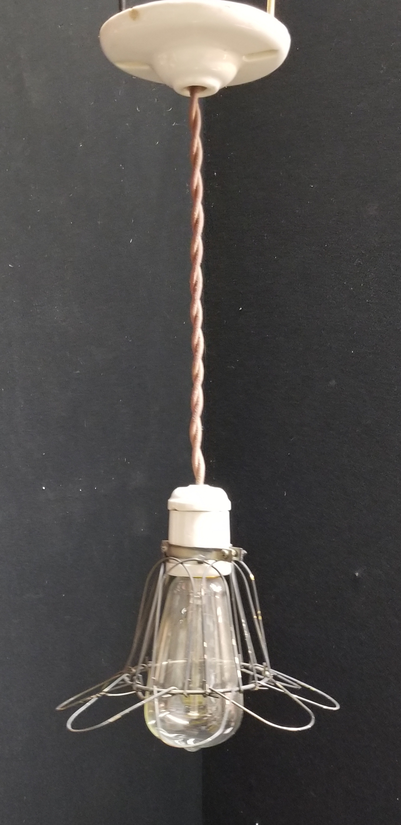 Caged trouble light