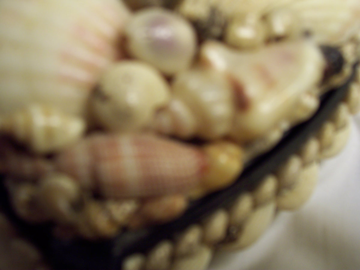 Shell Heart Covered Box Arts and Crafts Type