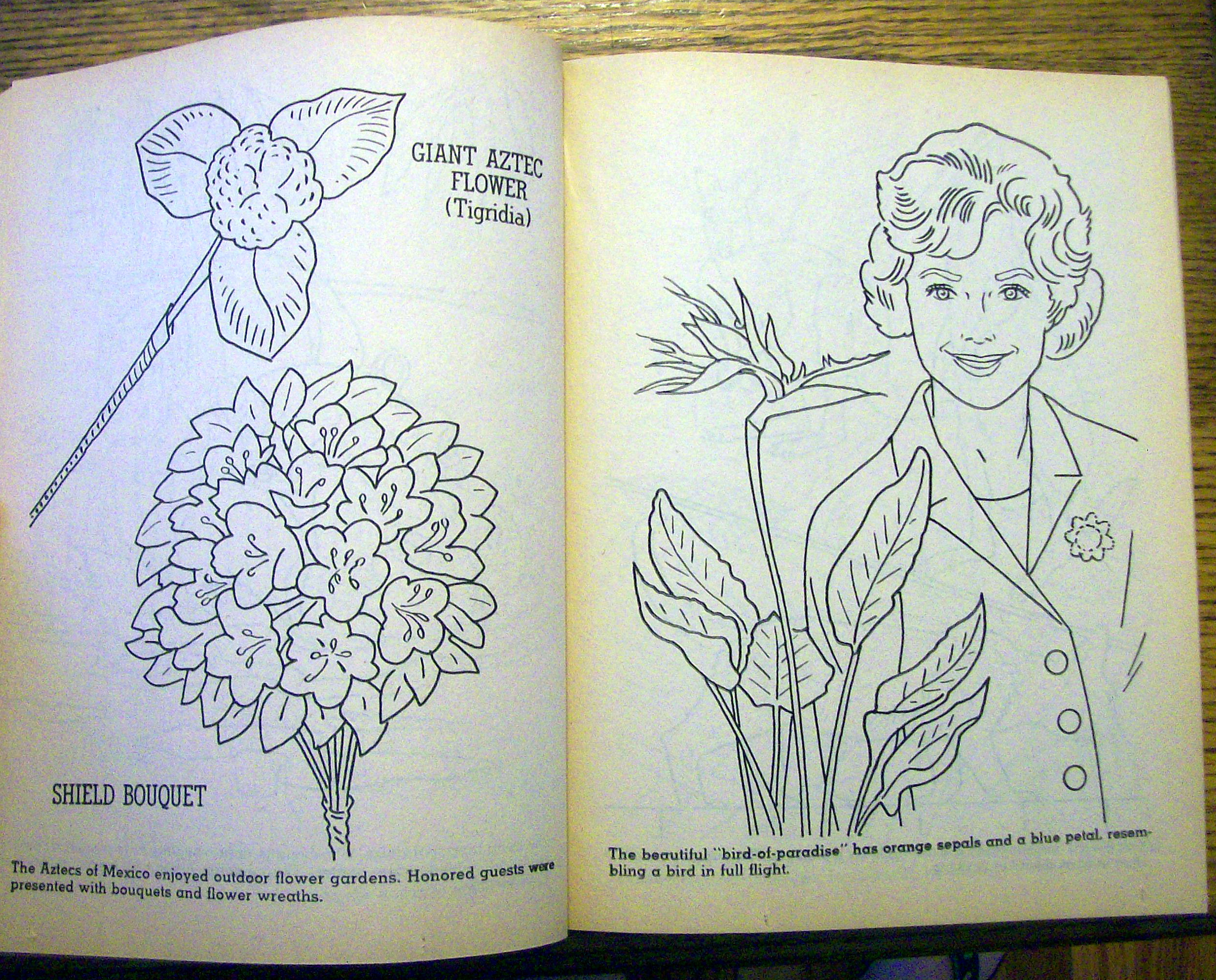 Discovery Color And Learn Book 1963 (ABC-TV)