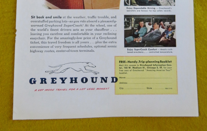 1951 Greyhound with Man Relaxing in his Seat