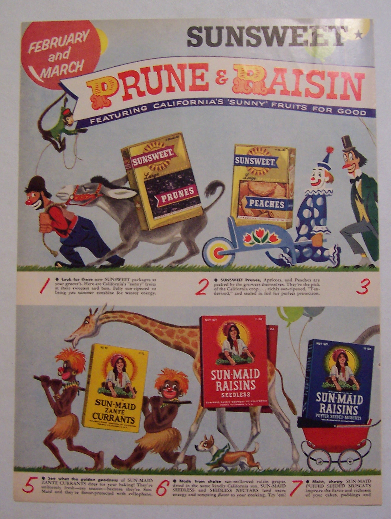 1955  Sun - Maid  &  Sun - Sweet  Festival