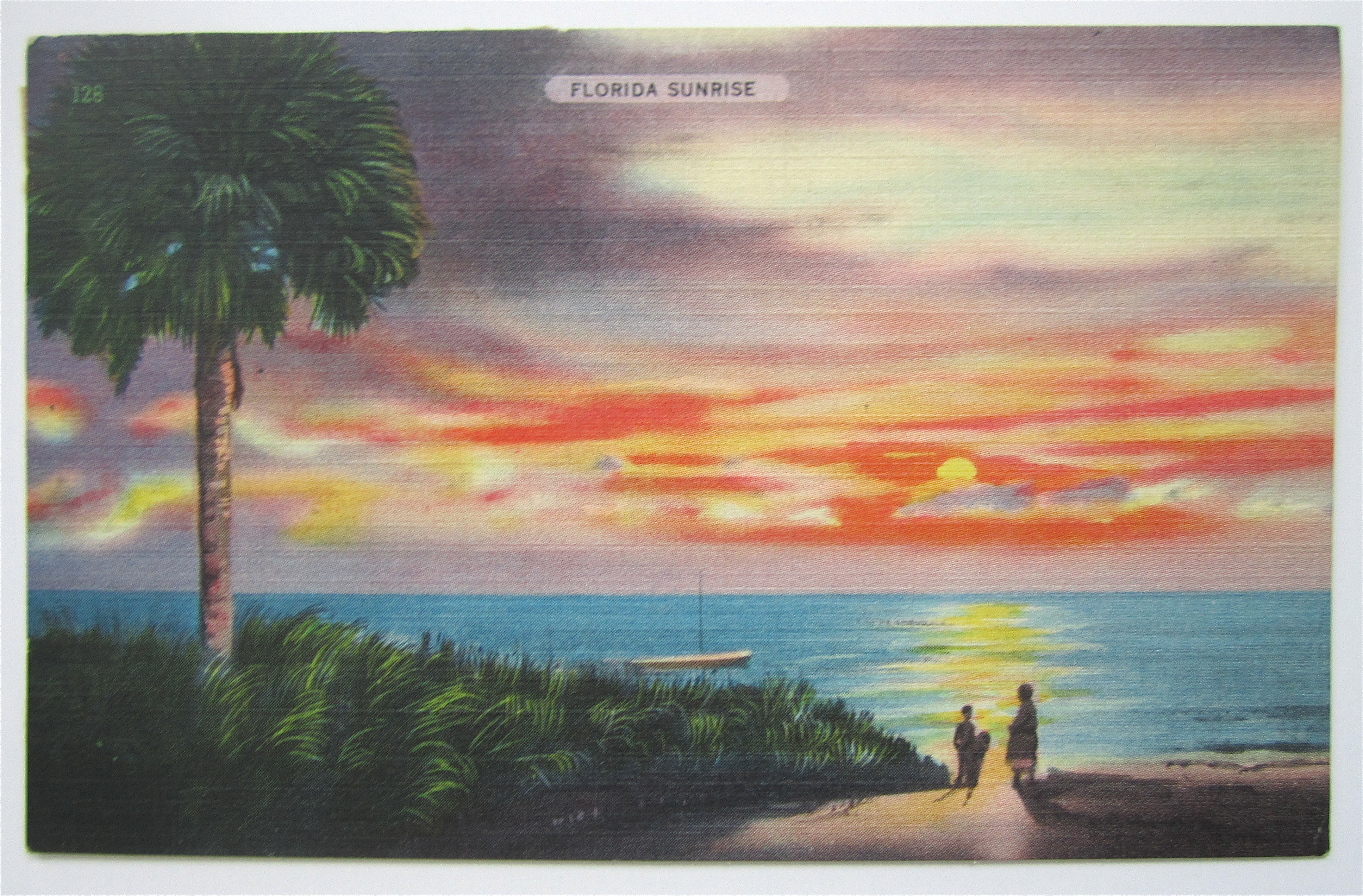 Florida Sunrise Postcard
