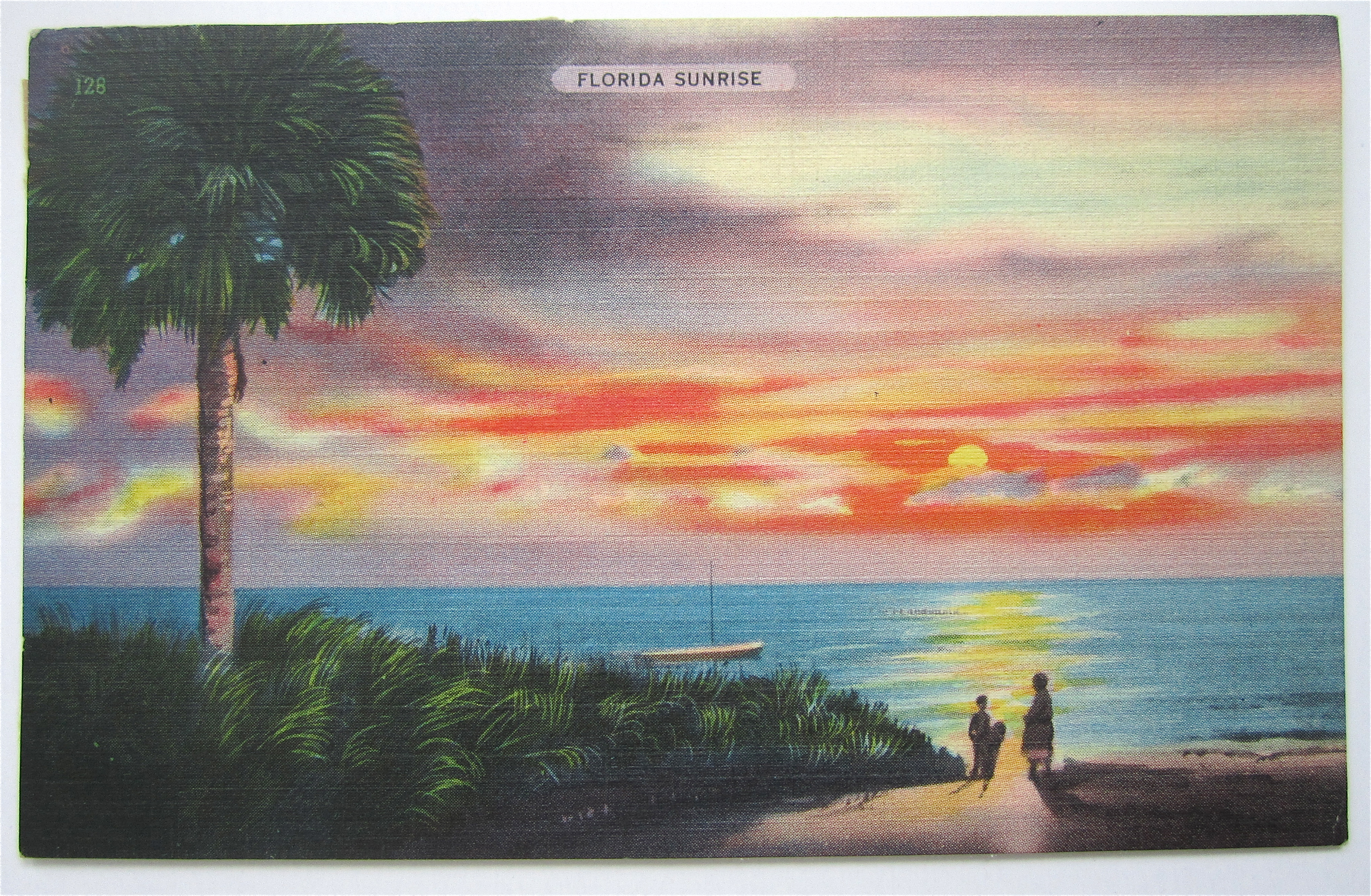 Florida Sunrise Postcard