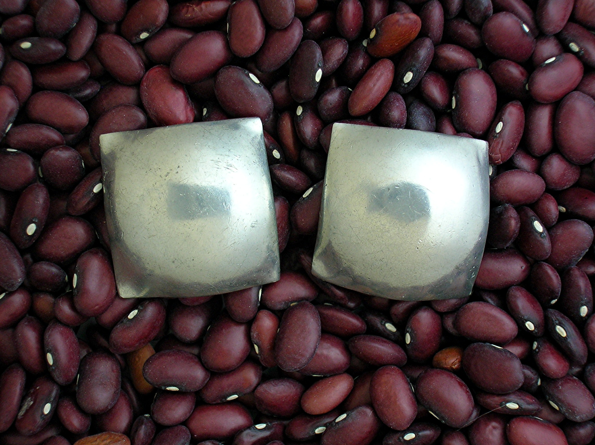 Large Square ROBIN KAHN Clip Earrings