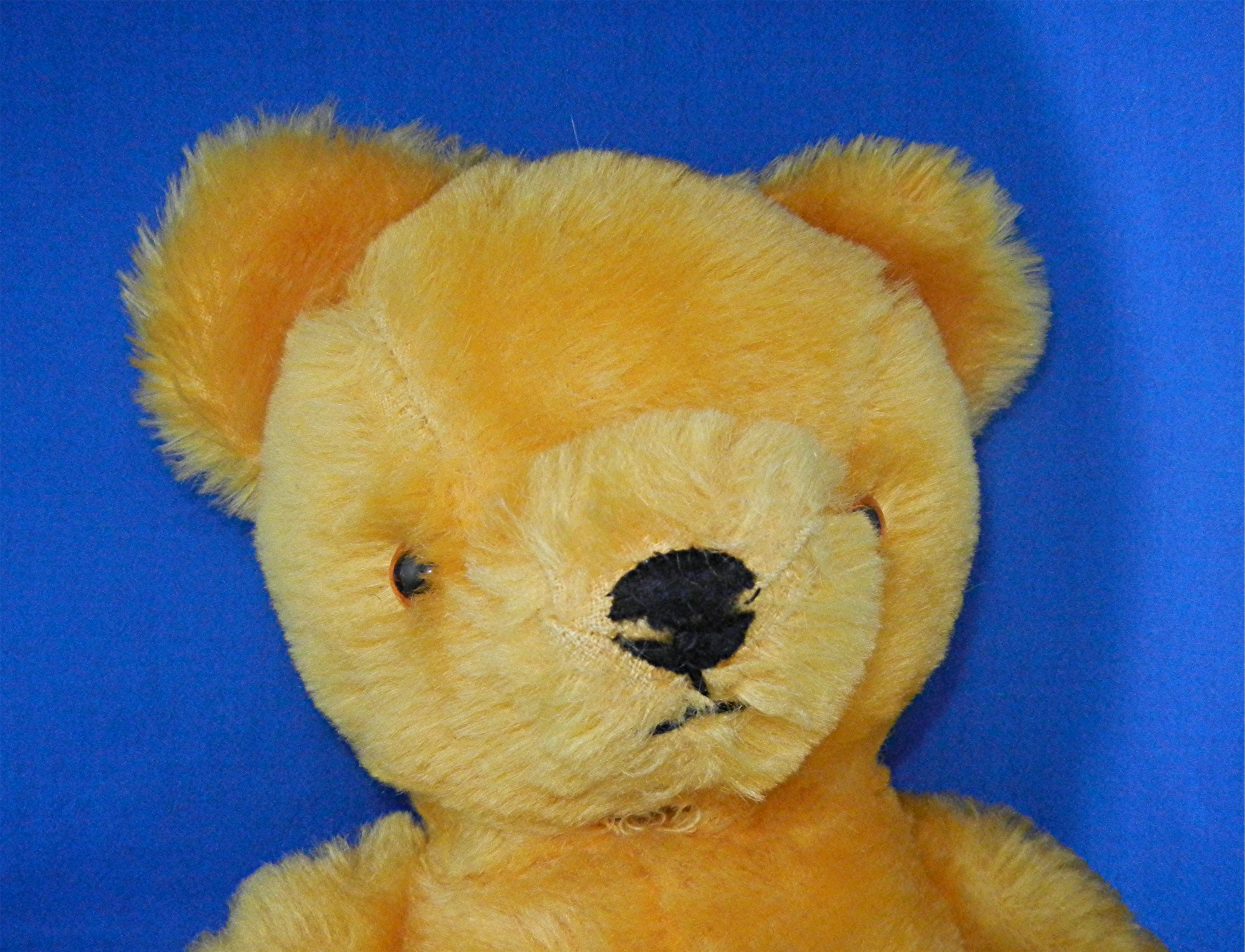 Teddy Bear plush 16 Inches