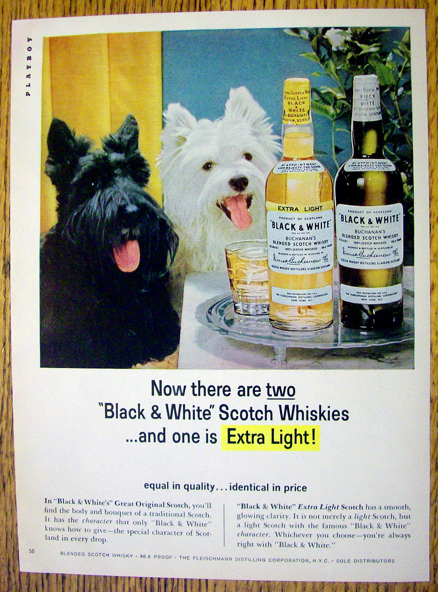 1965 Black and White Whiskey w/ Black & White Scotties