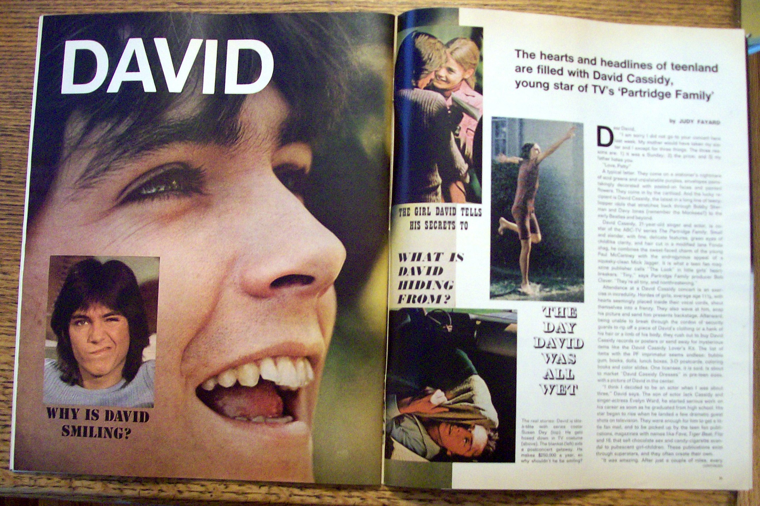 Life Magazine October 29, 1971 David Cassidy