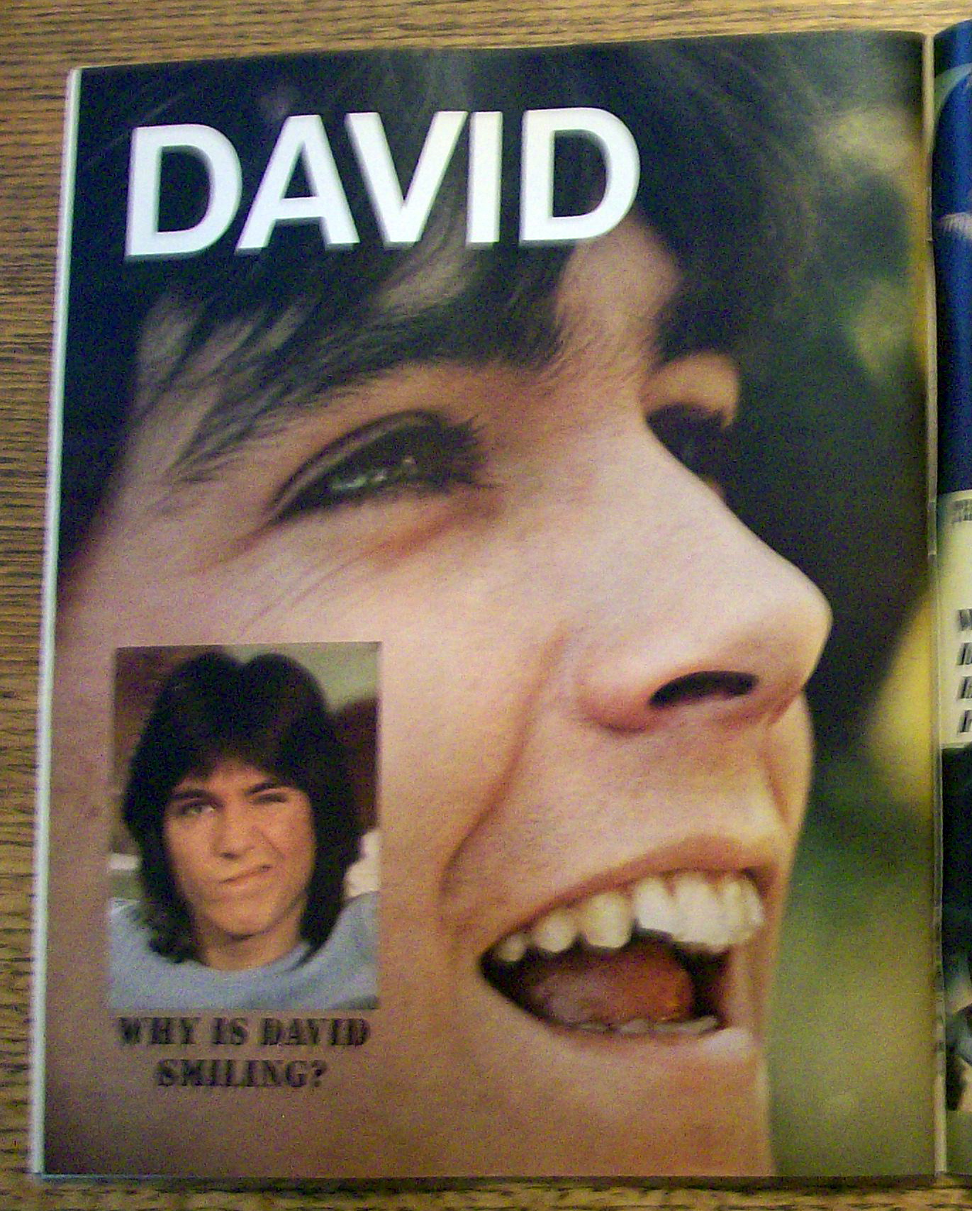 Life Magazine October 29, 1971 David Cassidy