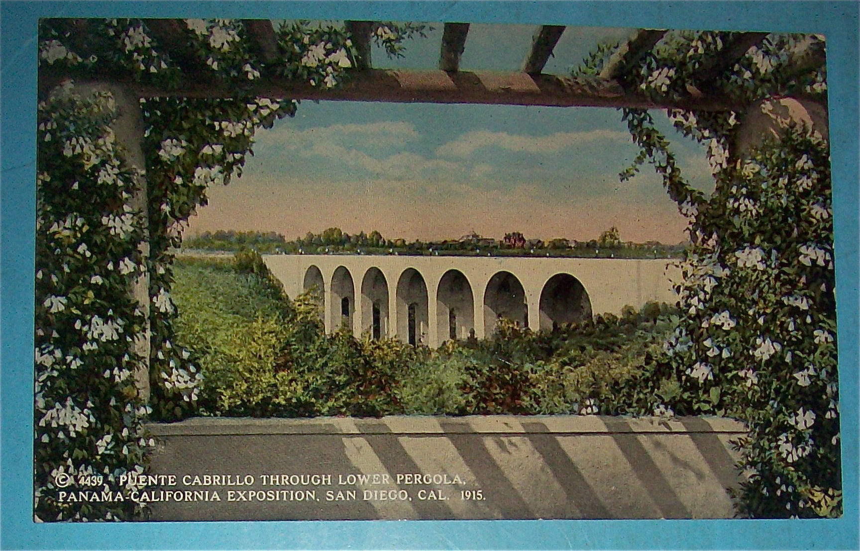Puente Cabrillo Through Lower Pergola Postcard