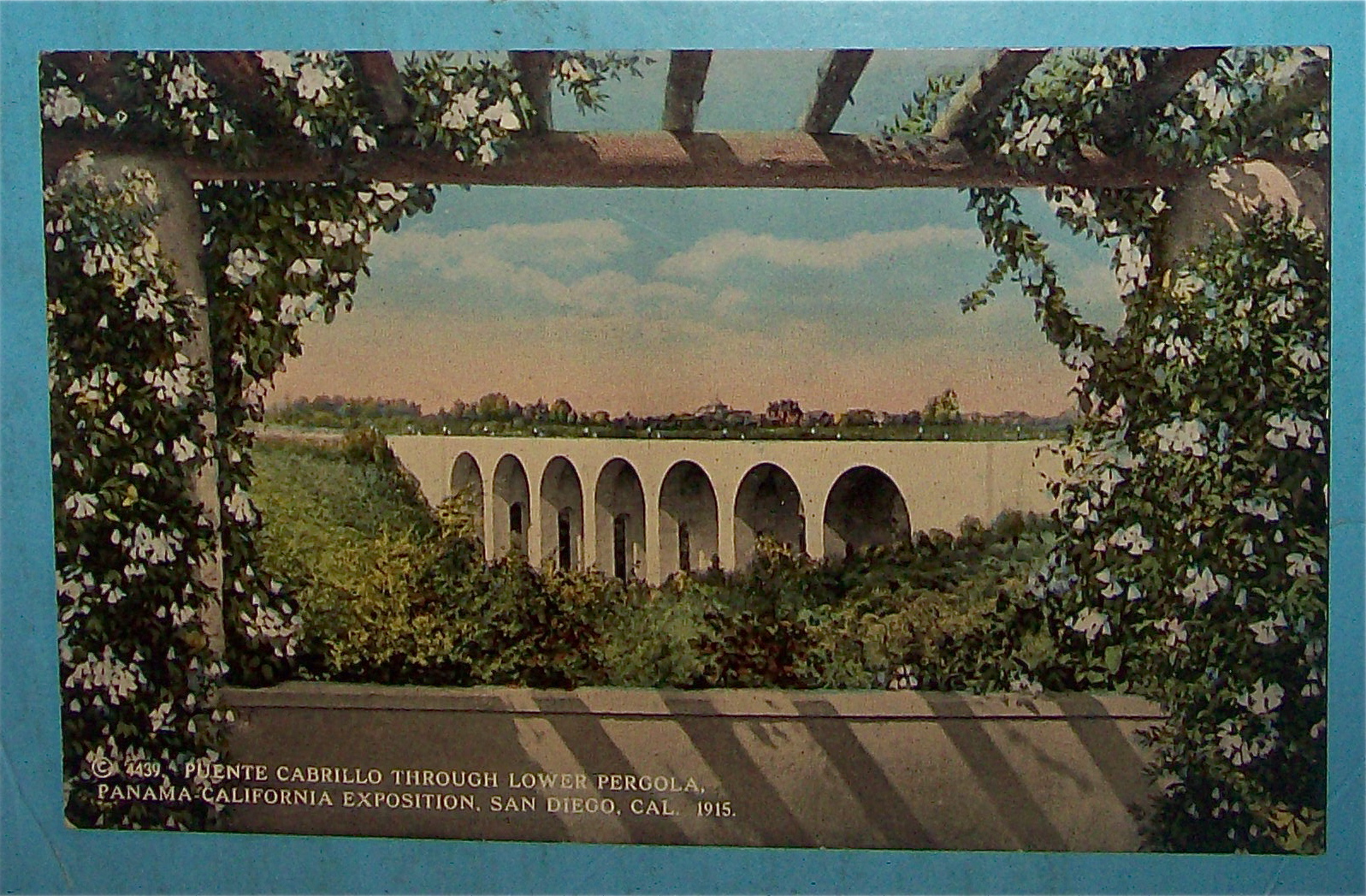 Puente Cabrillo Through Lower Pergola Postcard
