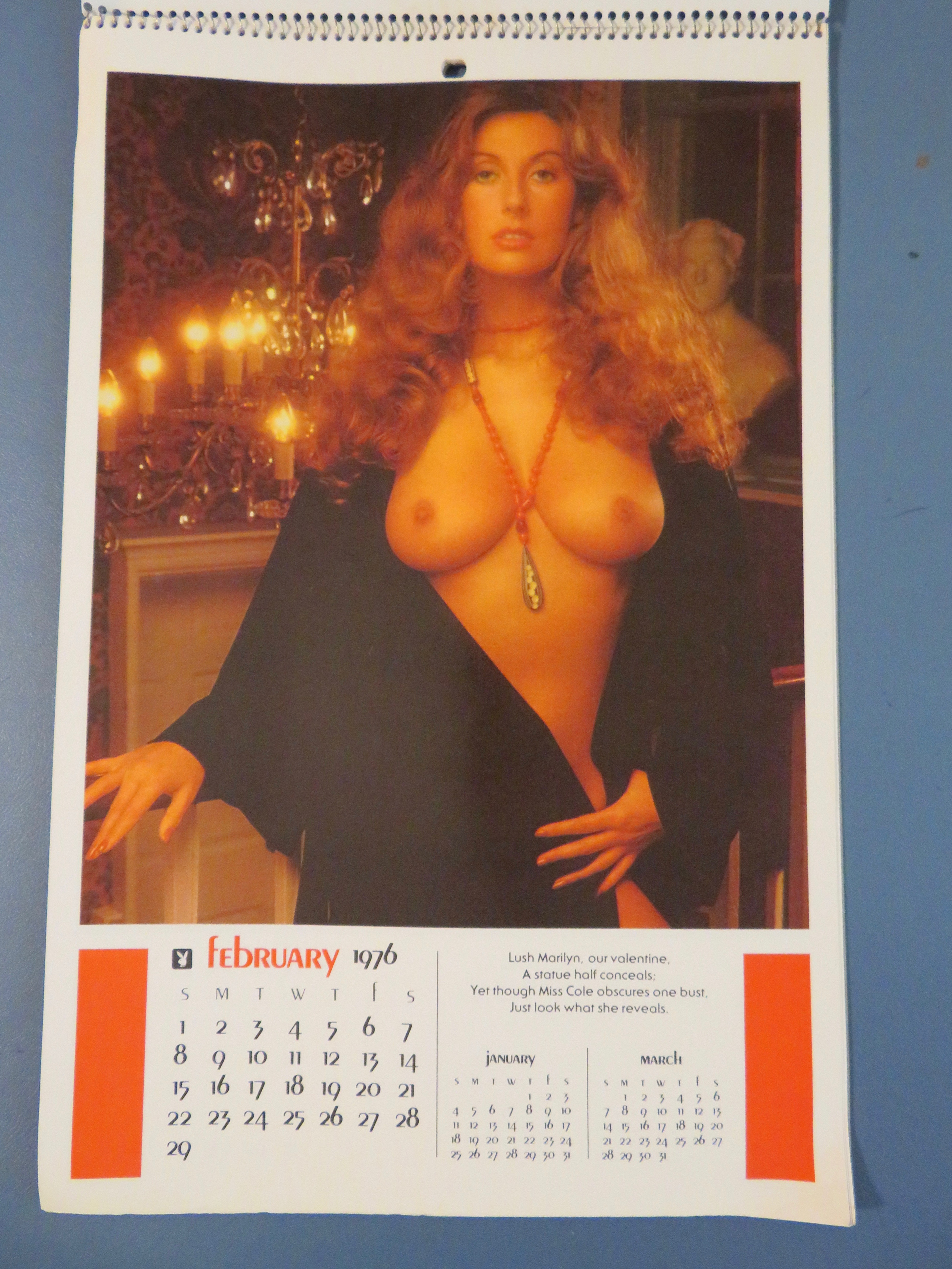 Playboy Playmate Calendar 1976 Marilyn Lange