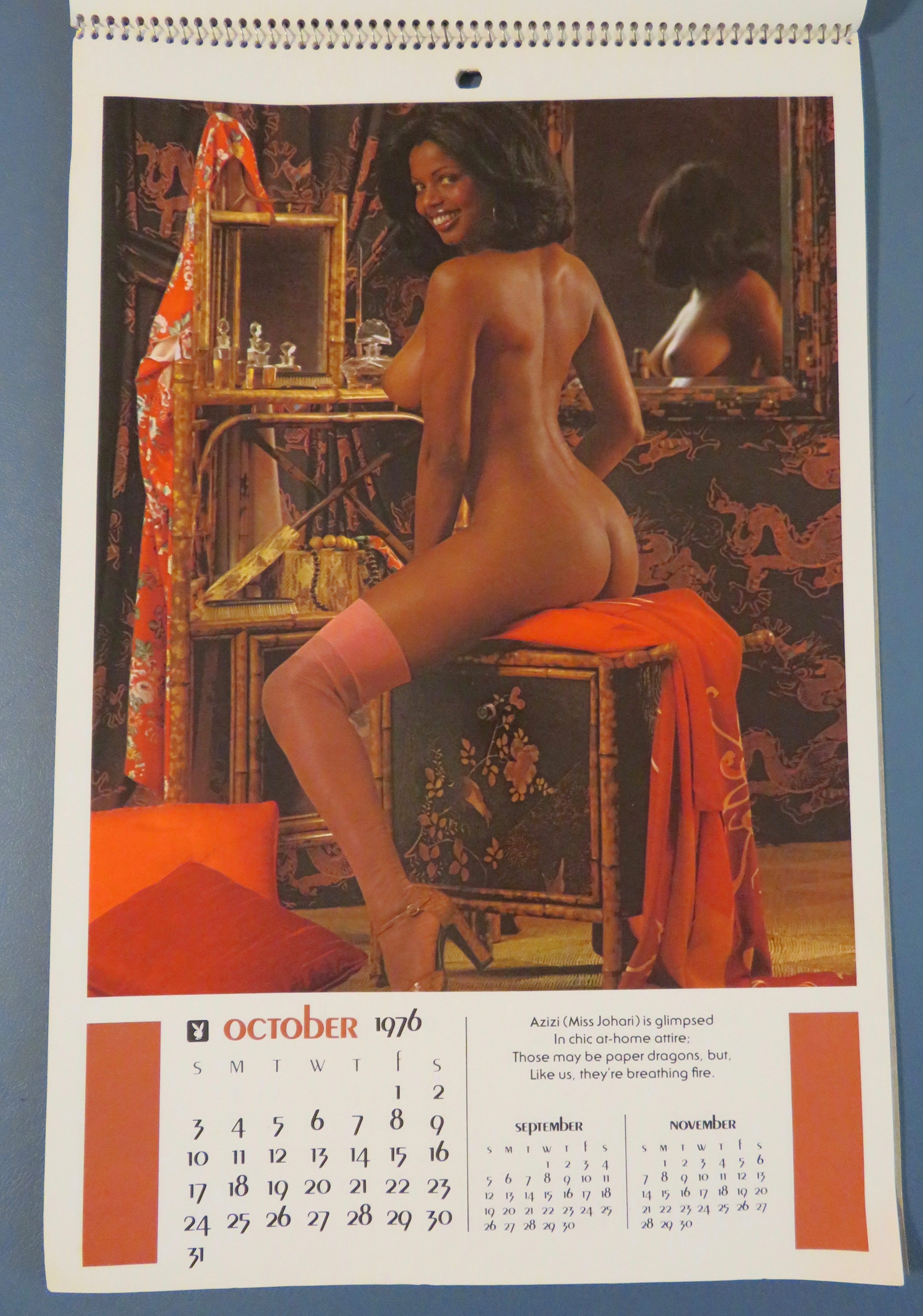 Playboy Playmate Calendar 1976 Marilyn Lange