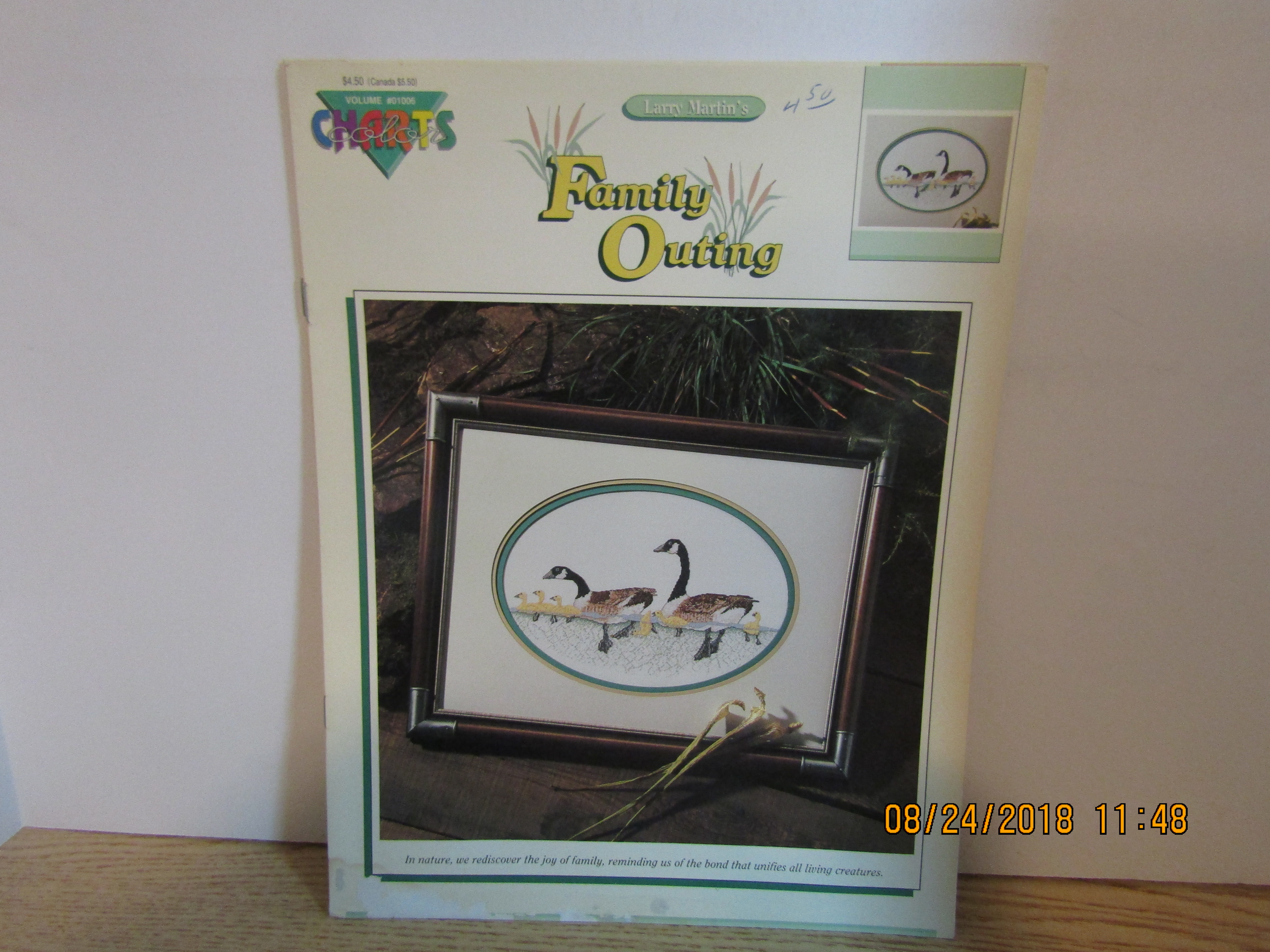 Color Charts Cross Stitch Family Outing #1006