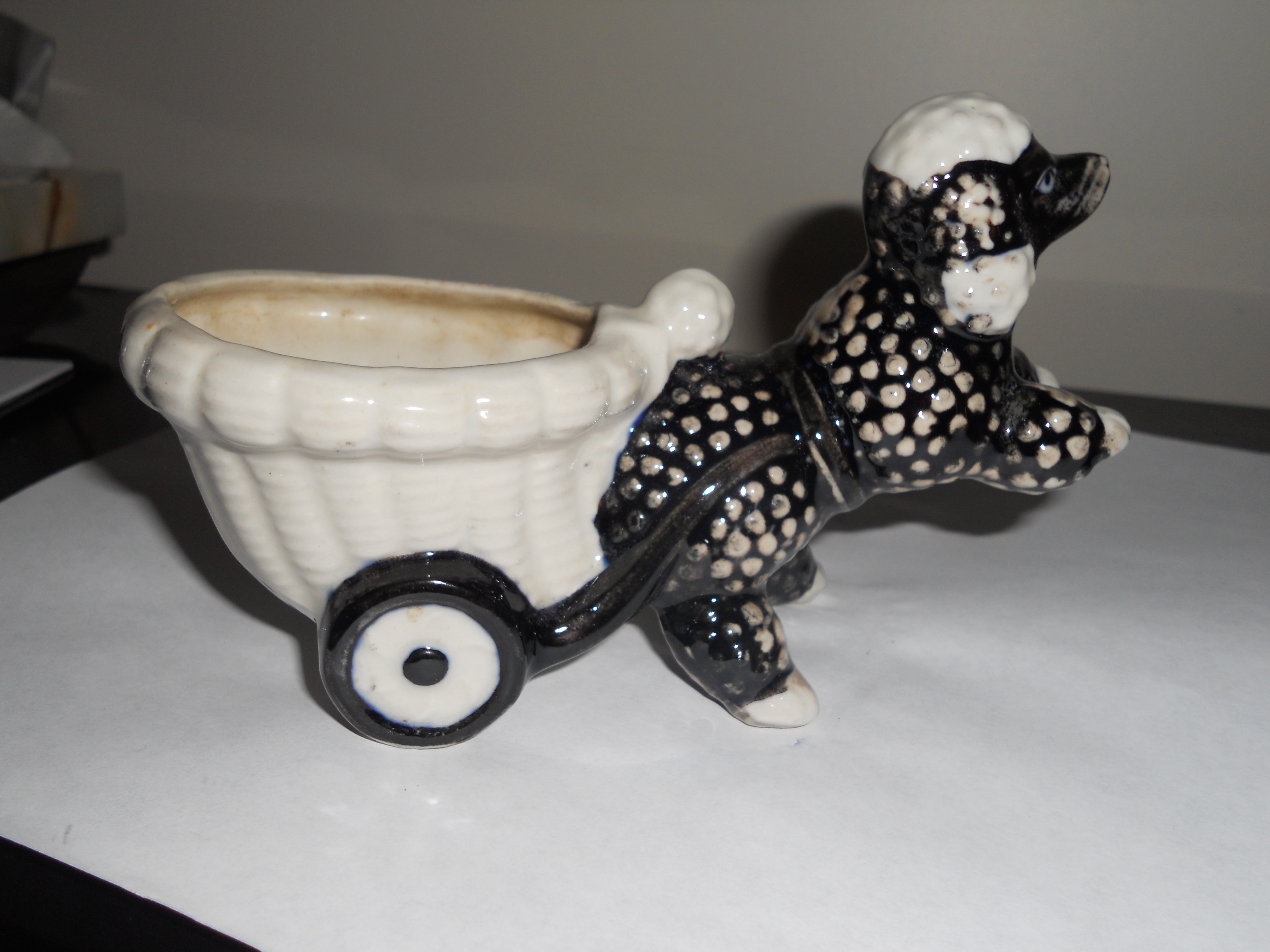 Poodle Planter Pulling His Cart