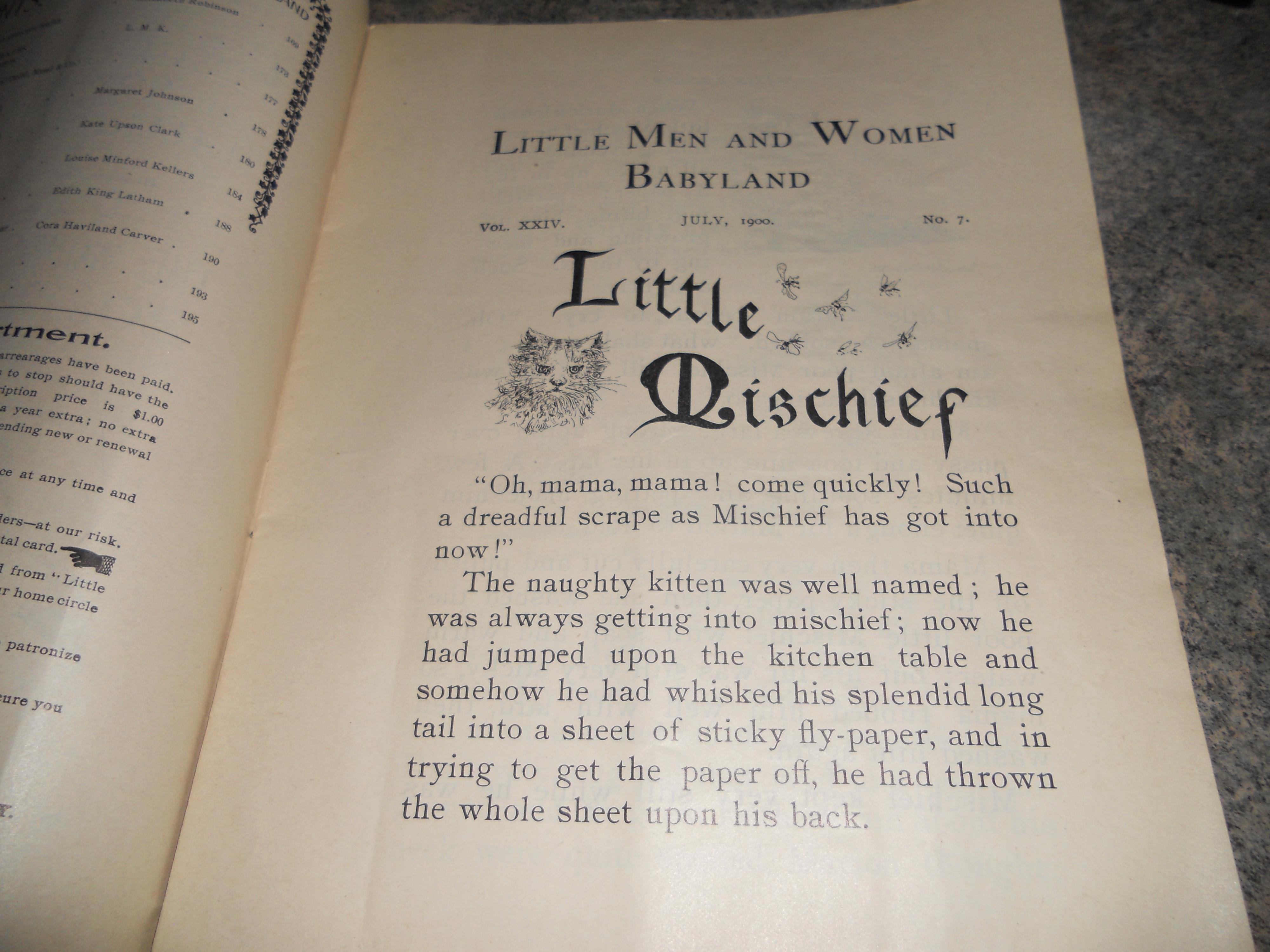 Little Men and Women Book 1900