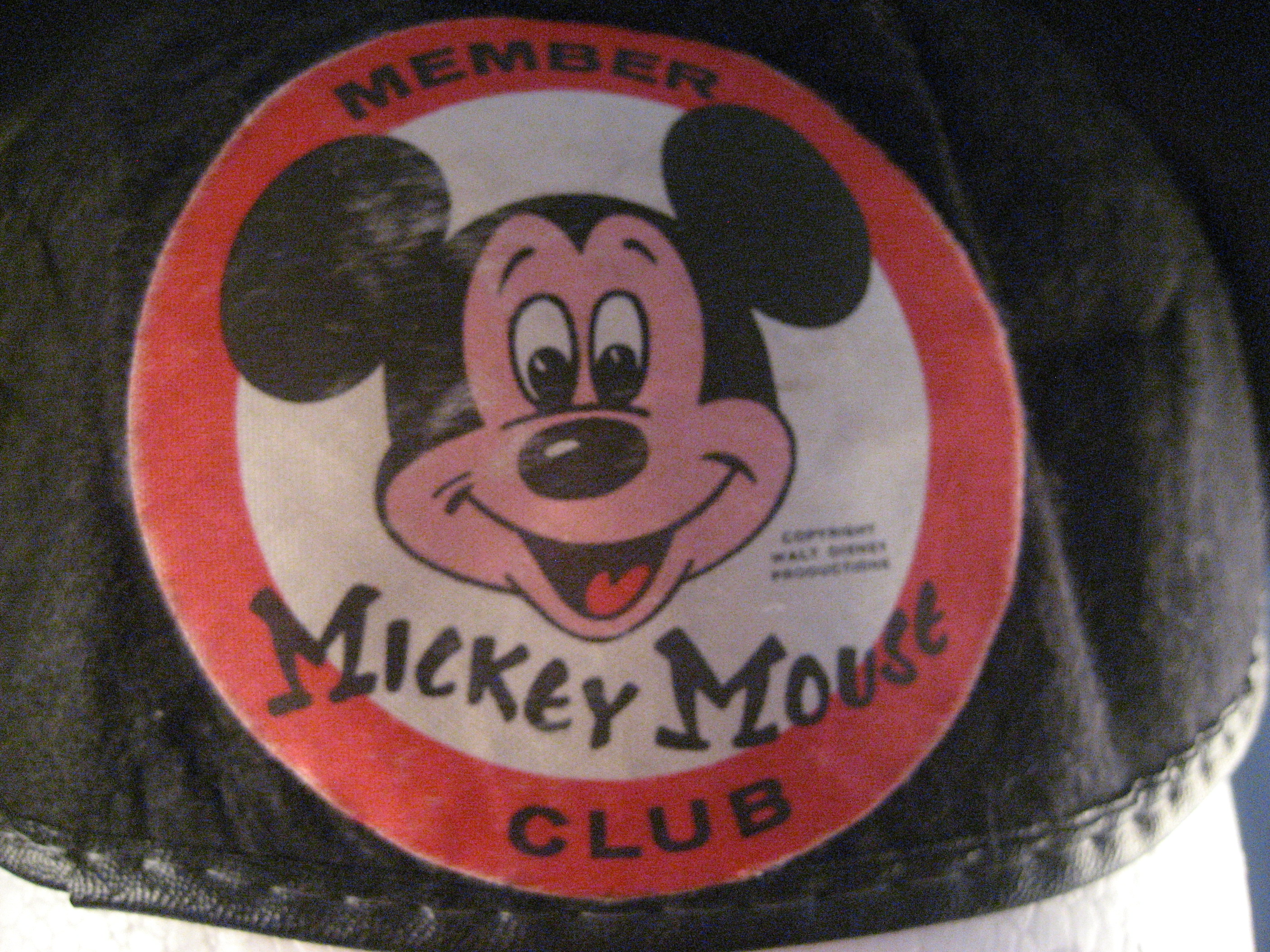 Child's Disney Ears