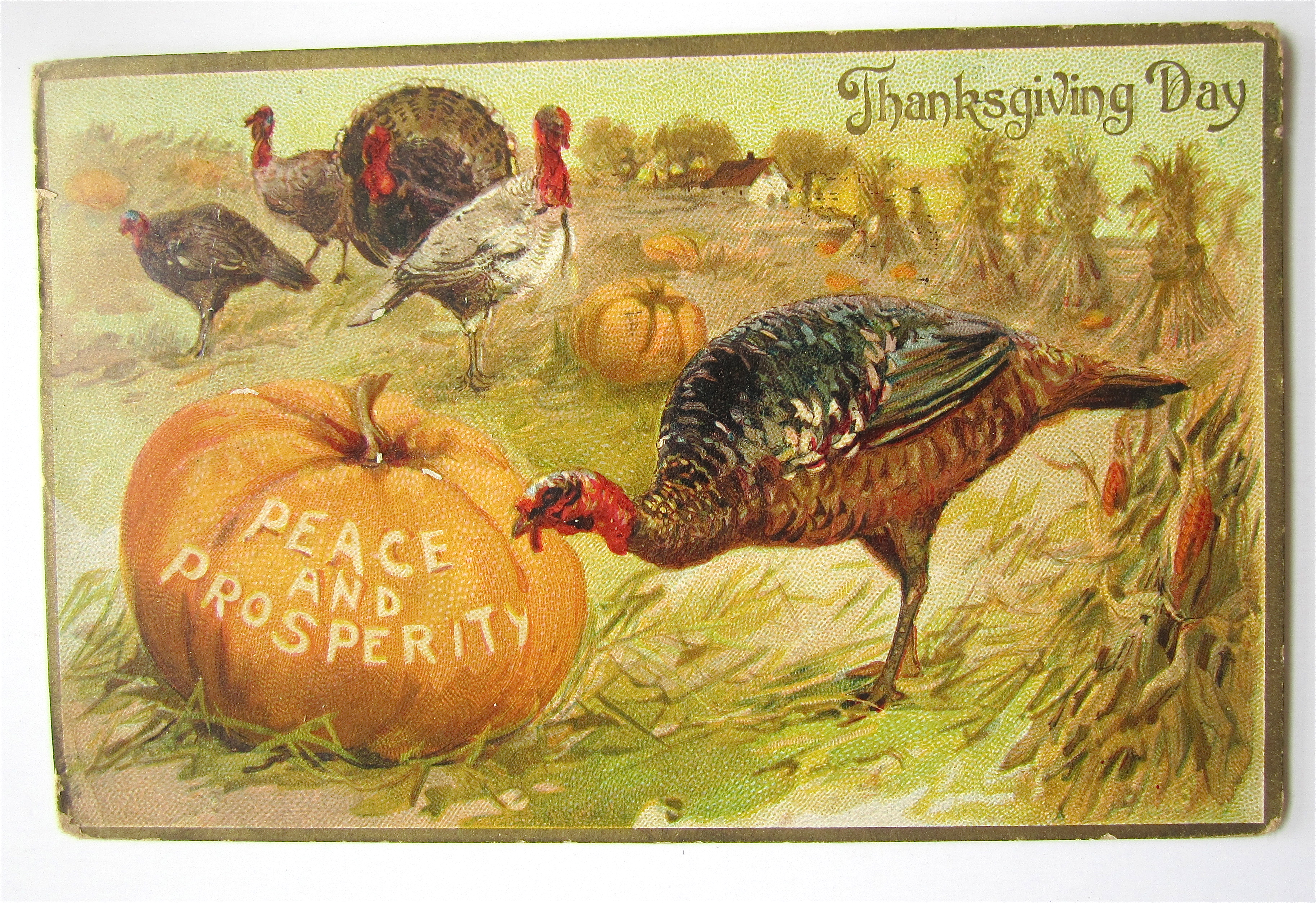 Thanksgiving Peace & Prosperity Postcard