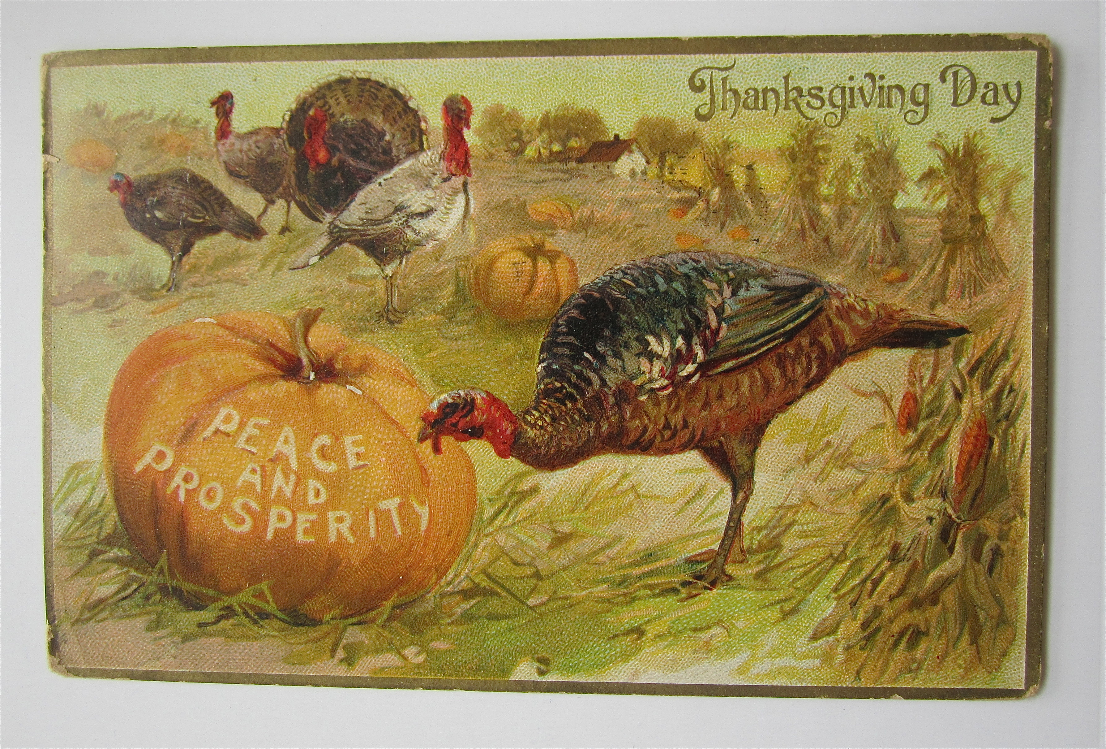 Thanksgiving Peace & Prosperity Postcard
