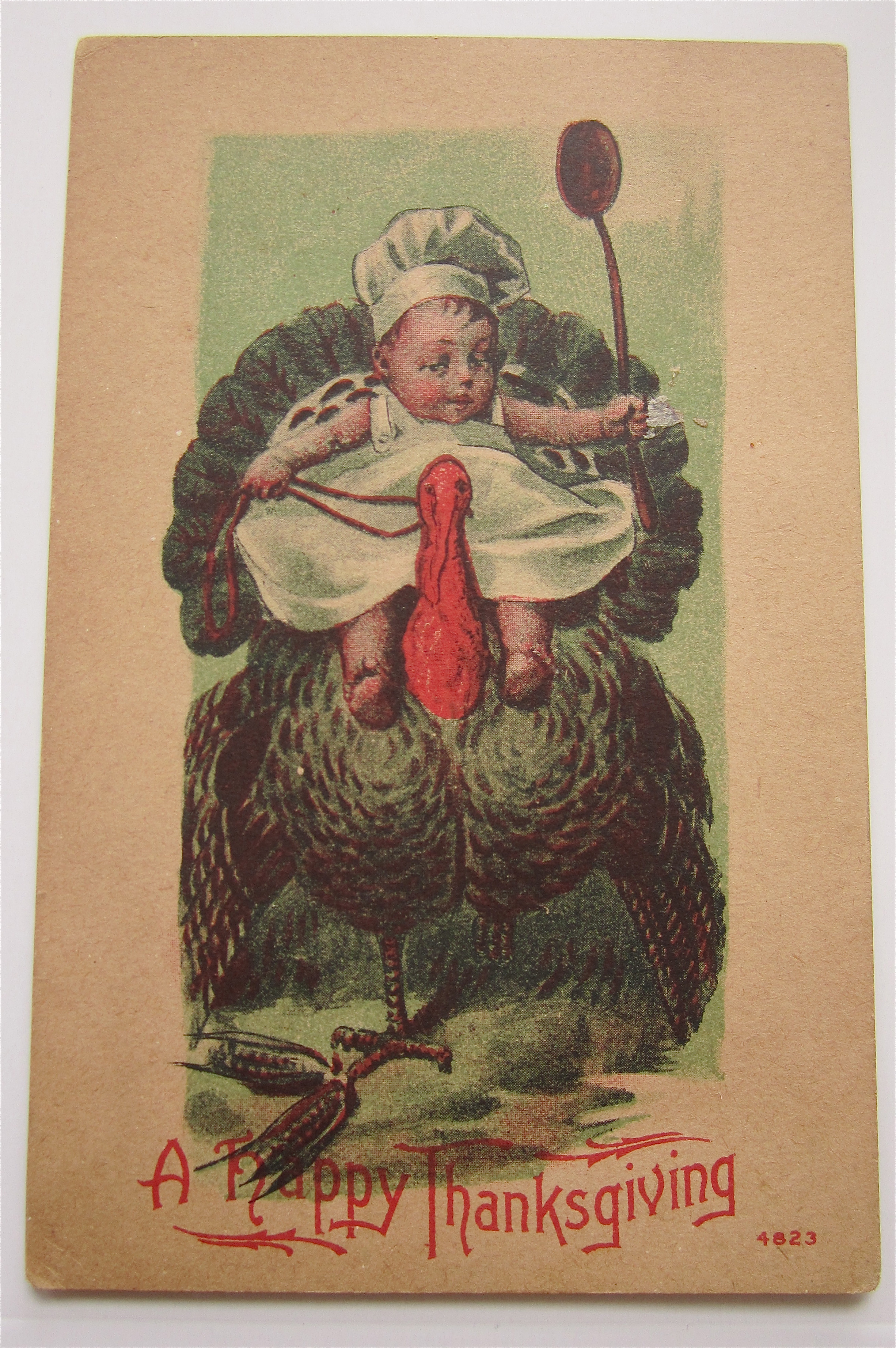 Baby Riding A Turkey Postcard