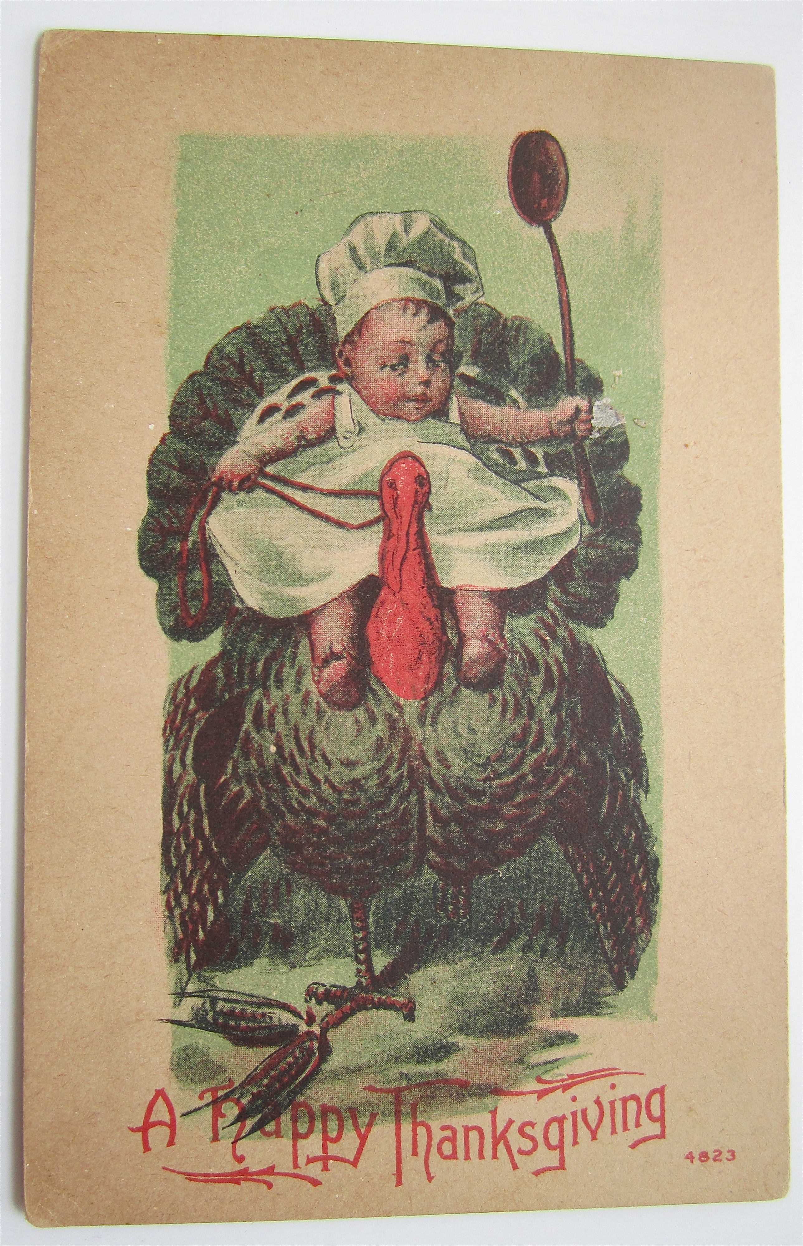 Baby Riding A Turkey Postcard