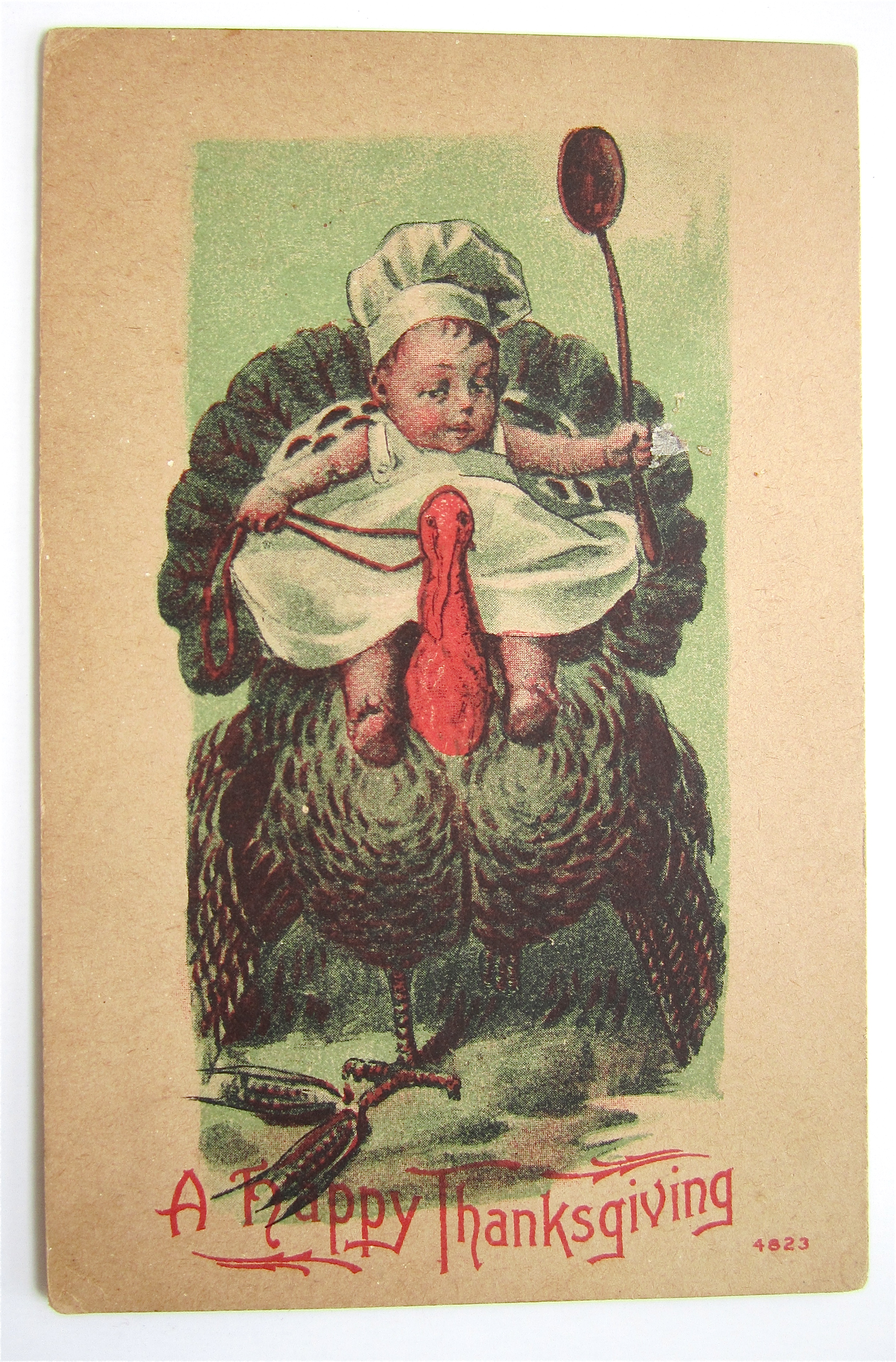 Baby Riding A Turkey Postcard