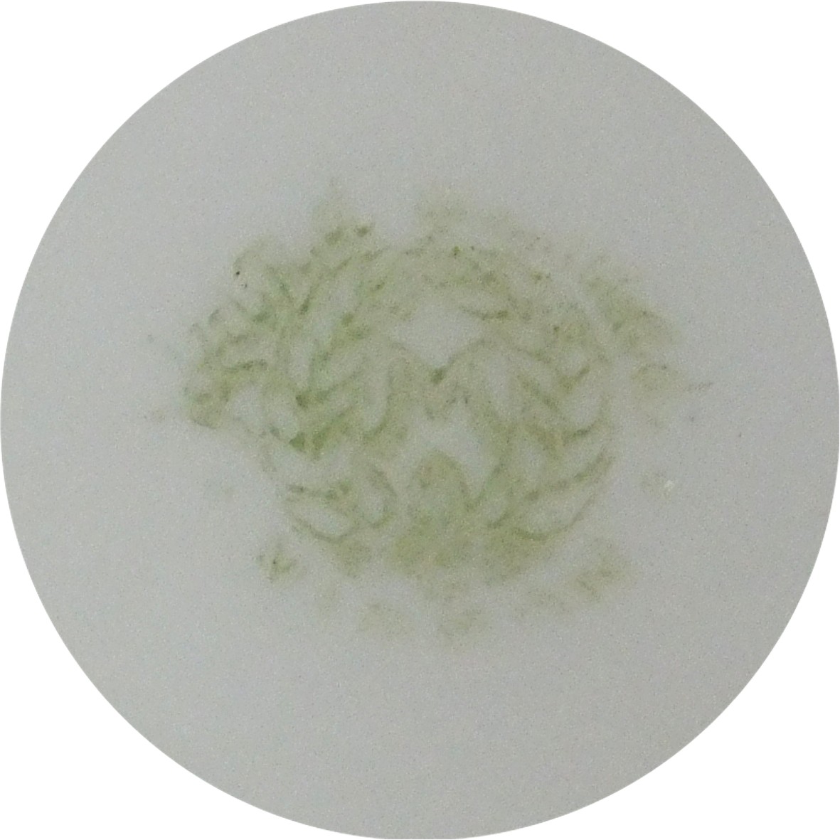 Nippon Monimuri handpainted plate w/ handle
