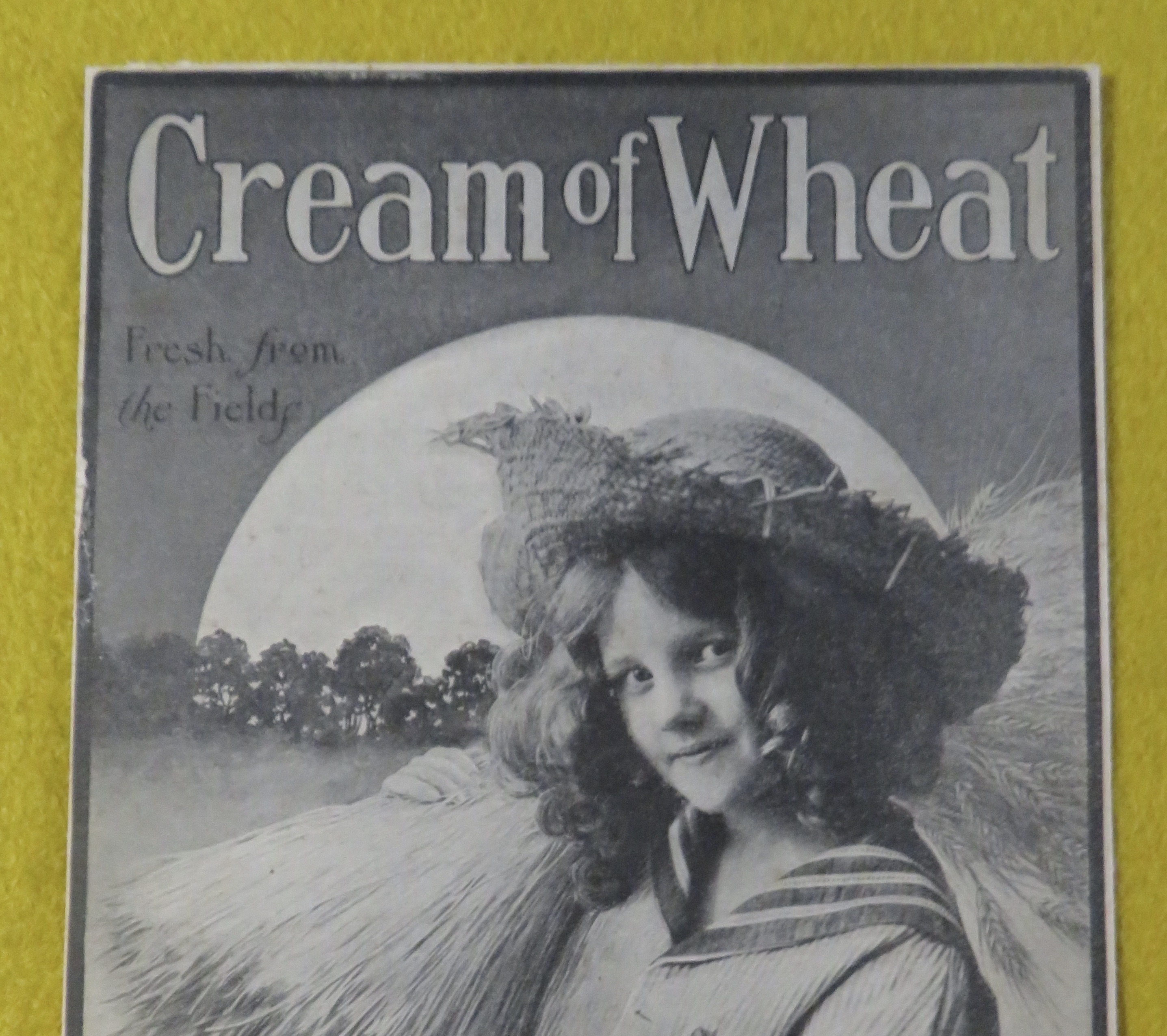 1900's Cream Of Wheat Cereal With Girl Holding Wheat