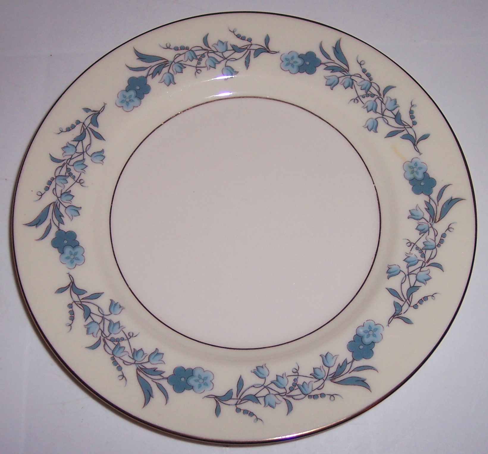Theodore Haviland China Clinton Bread Plate!