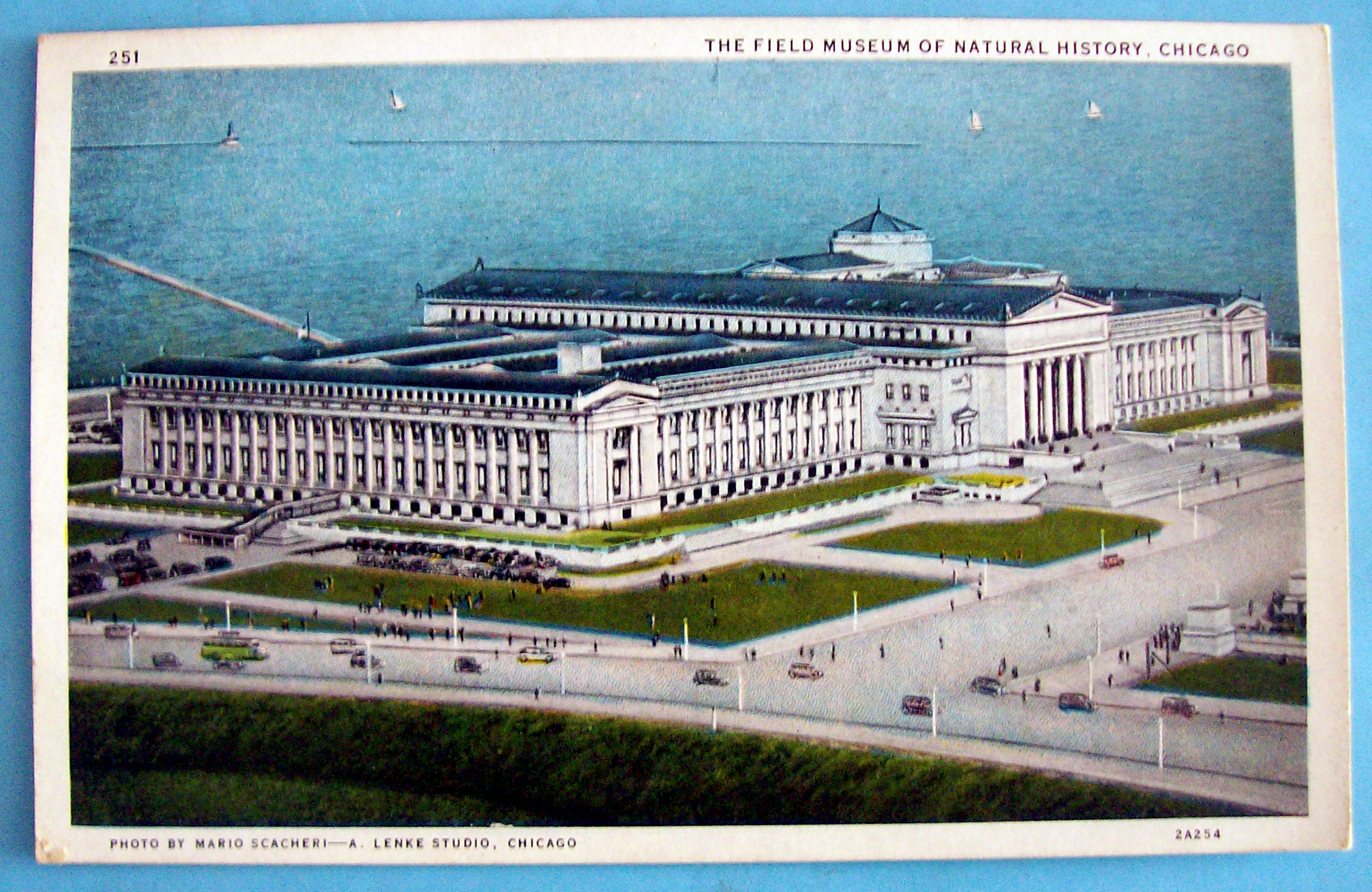 Field Museum & Natural History Postcard (Chicago Fair)
