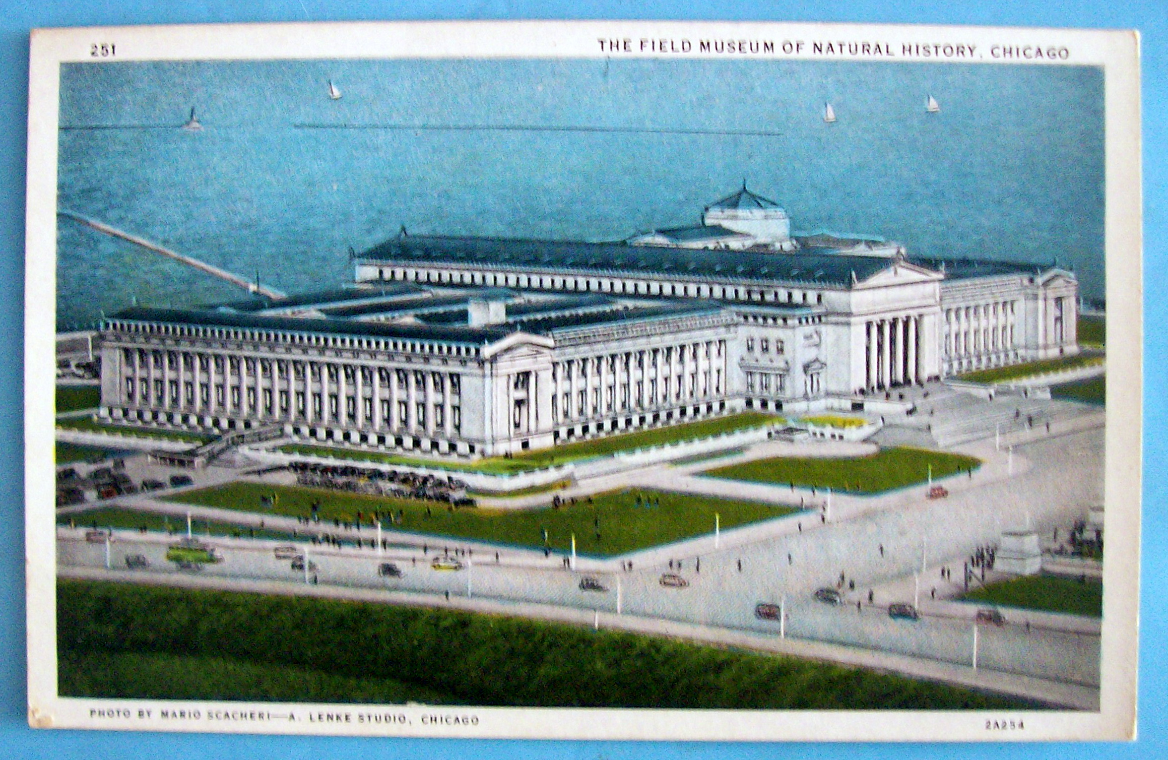 Field Museum & Natural History Postcard (Chicago Fair)