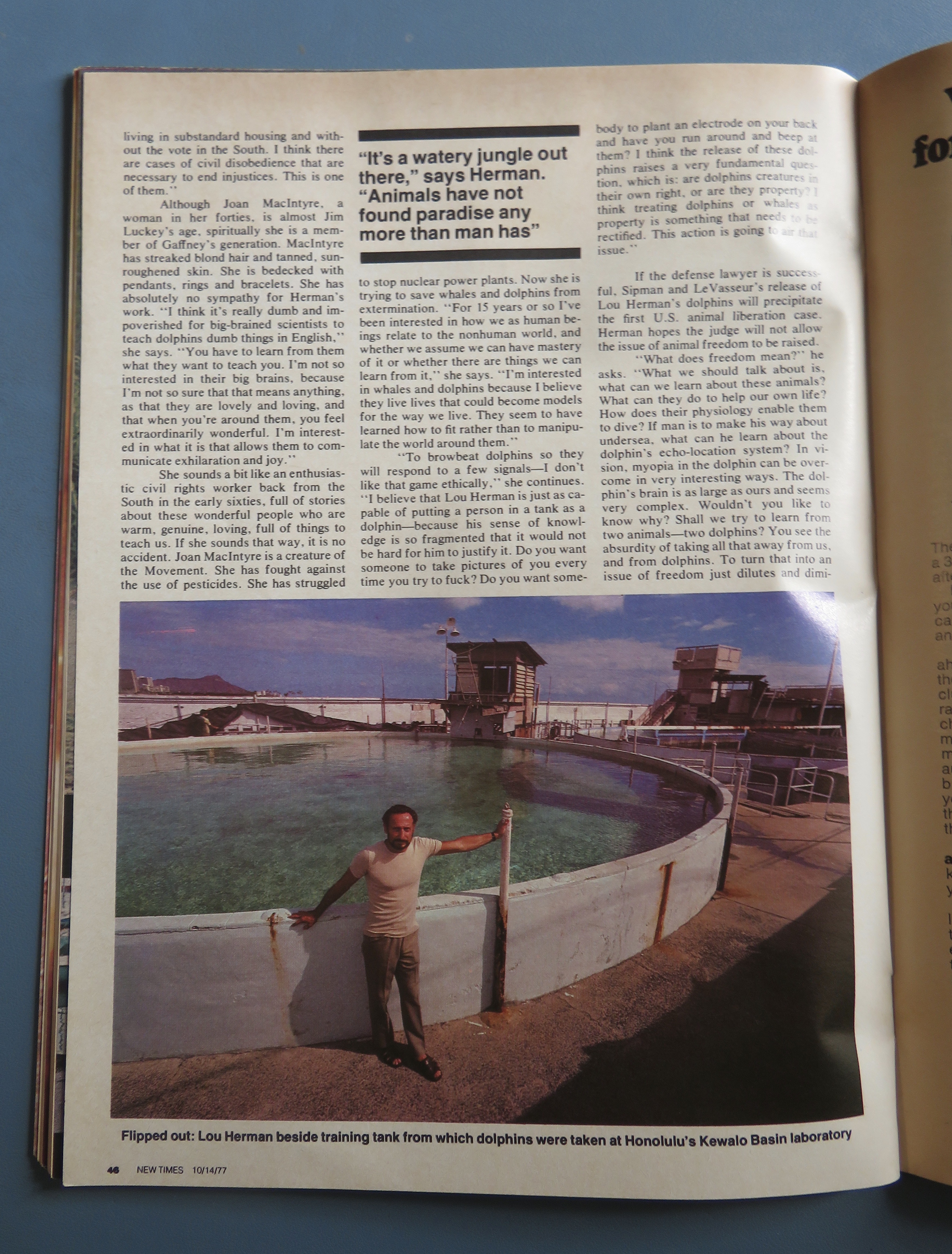 New Times Magazine October 14, 1977 Dolphin Set Free